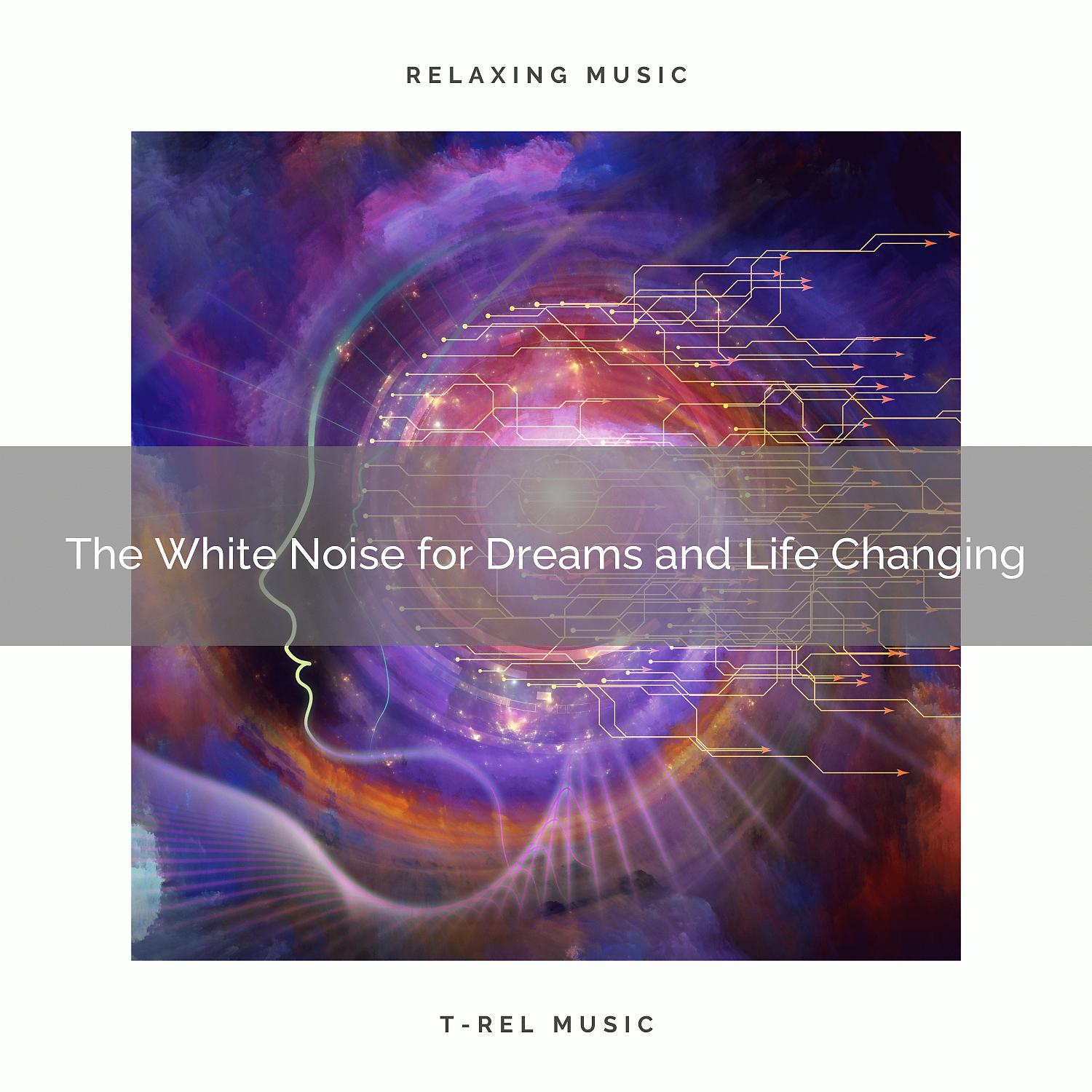 Постер альбома The White Noise for Dreams and Life Changing