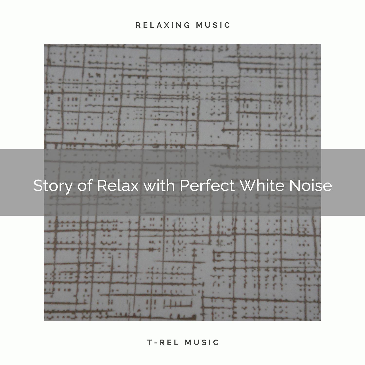 Постер альбома Story of Relax with Perfect White Noise