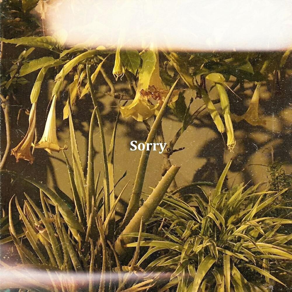 Постер альбома Sorry