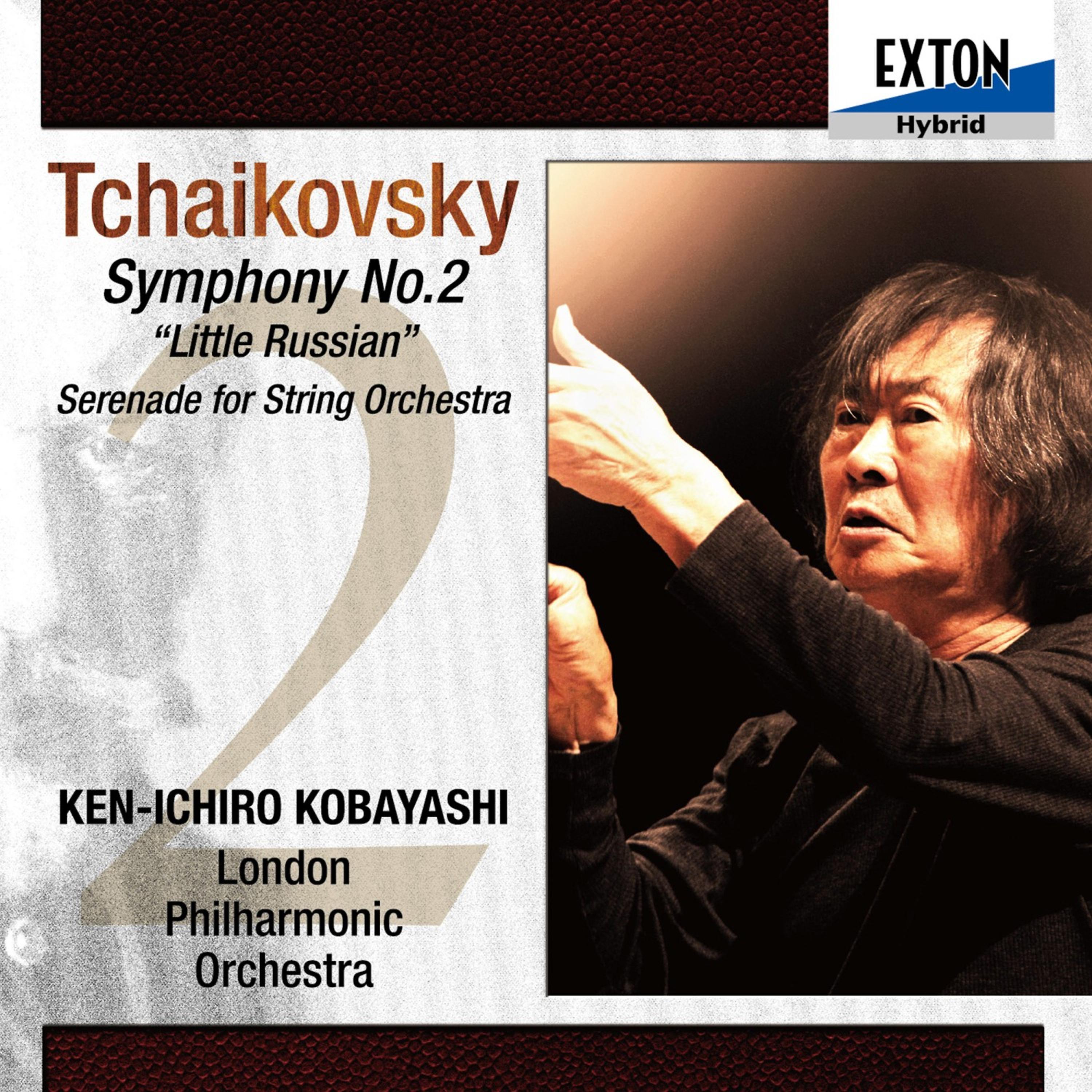Ken-ichiro Kobayashi - Serenade For, String Orchestra in C Major, Op. 48, 3: Elegie