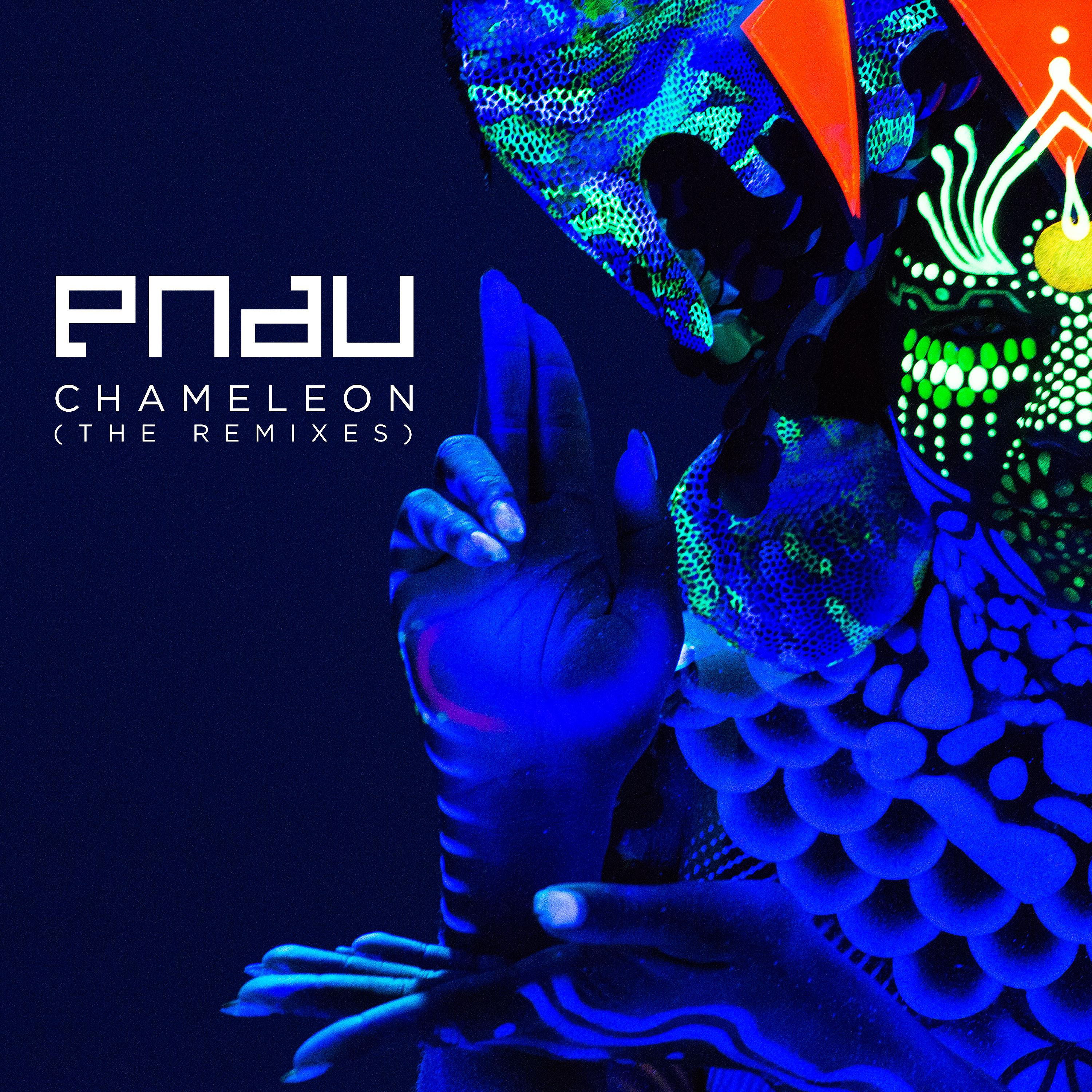 Постер альбома Chameleon (Remixes)