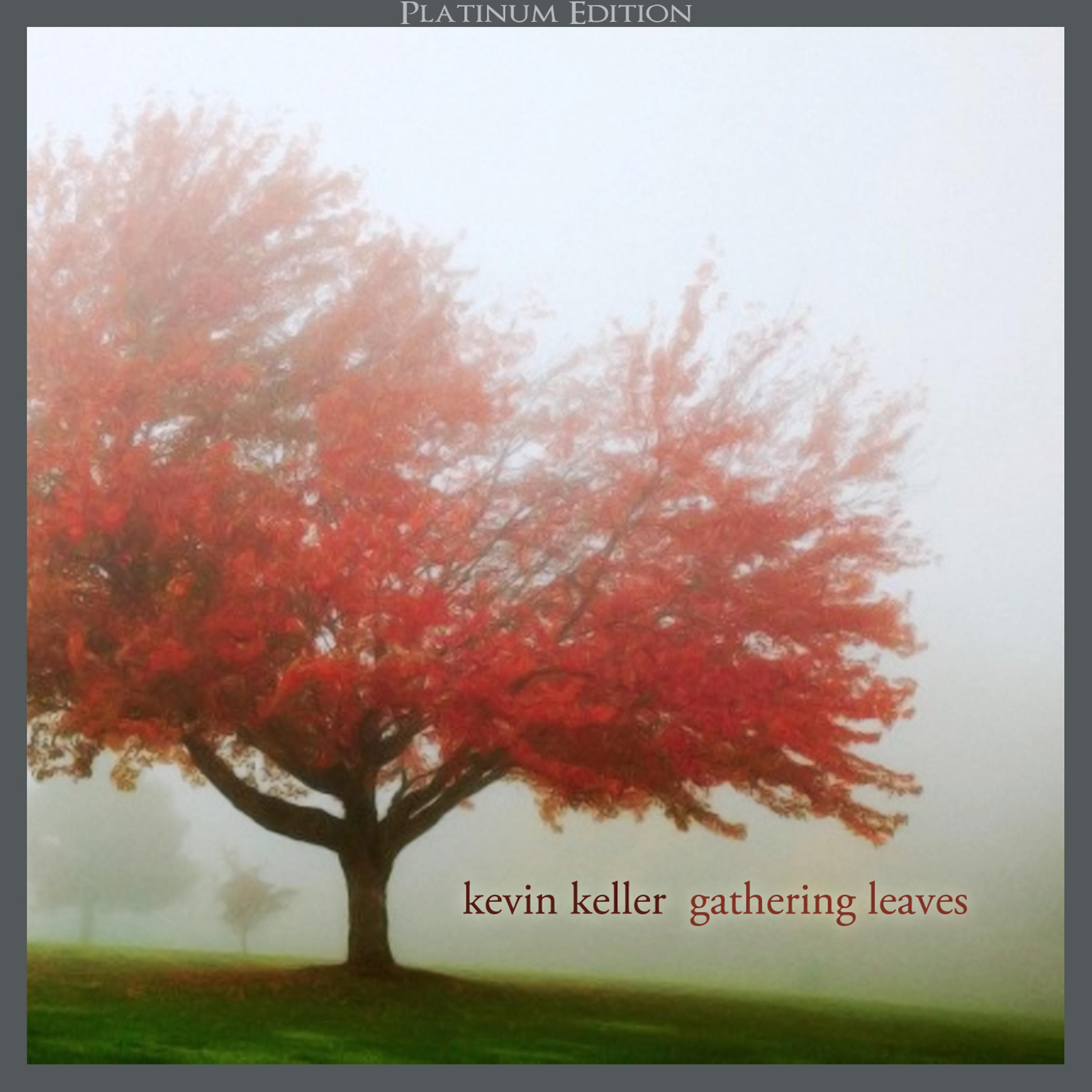 Постер альбома Gathering Leaves (Platinum Edition)