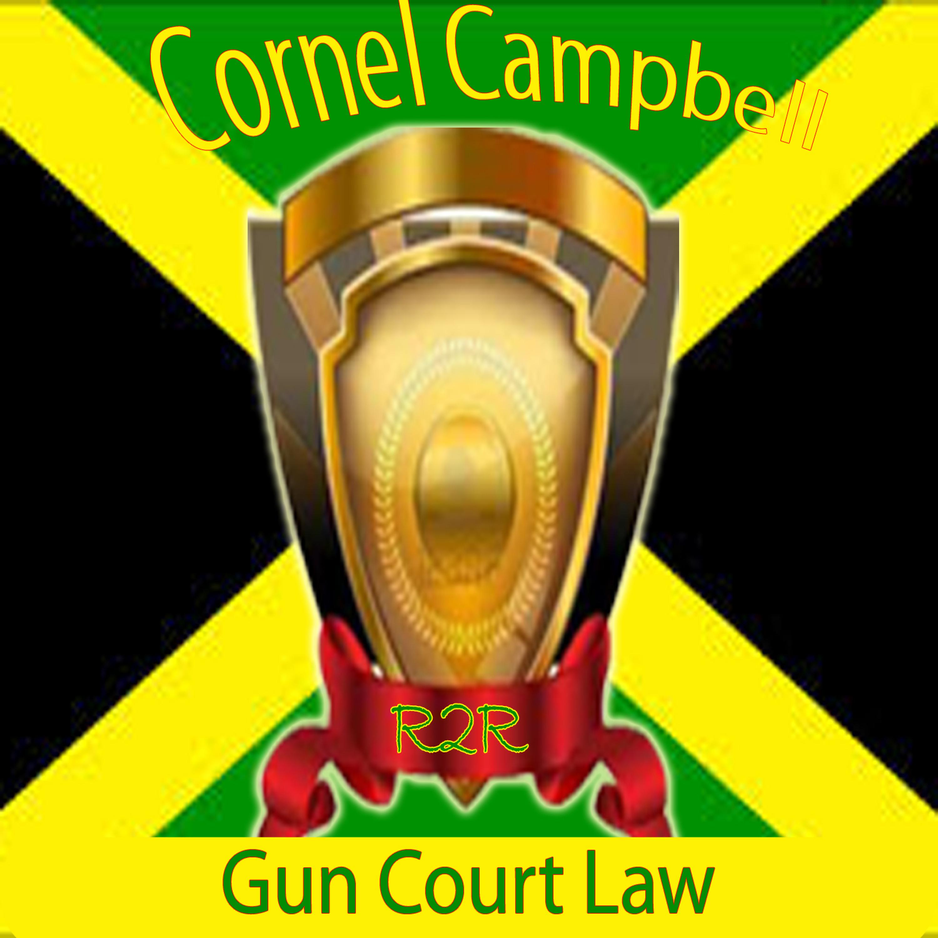 Постер альбома Gun Court Law