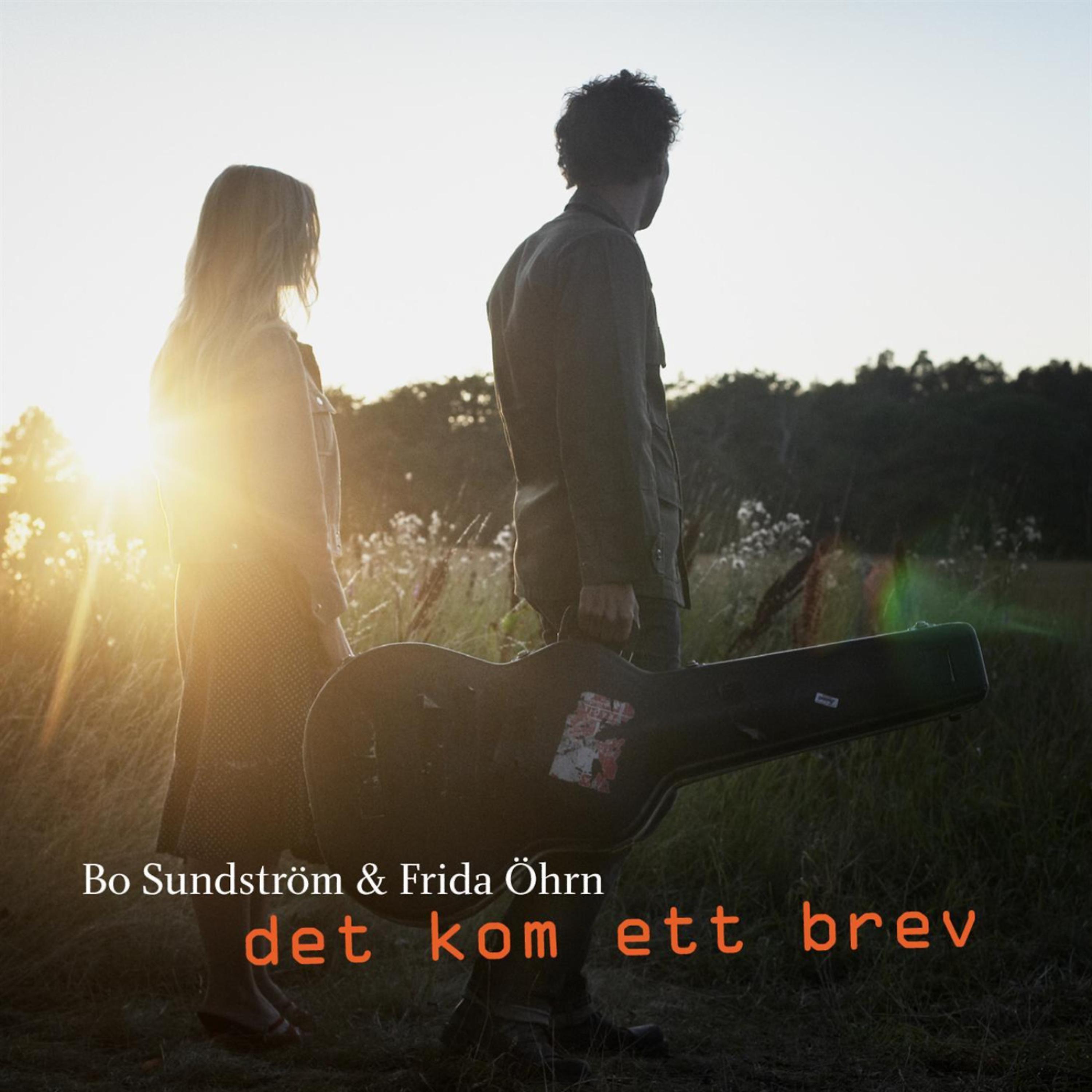 Постер альбома Det Kom Ett Brev