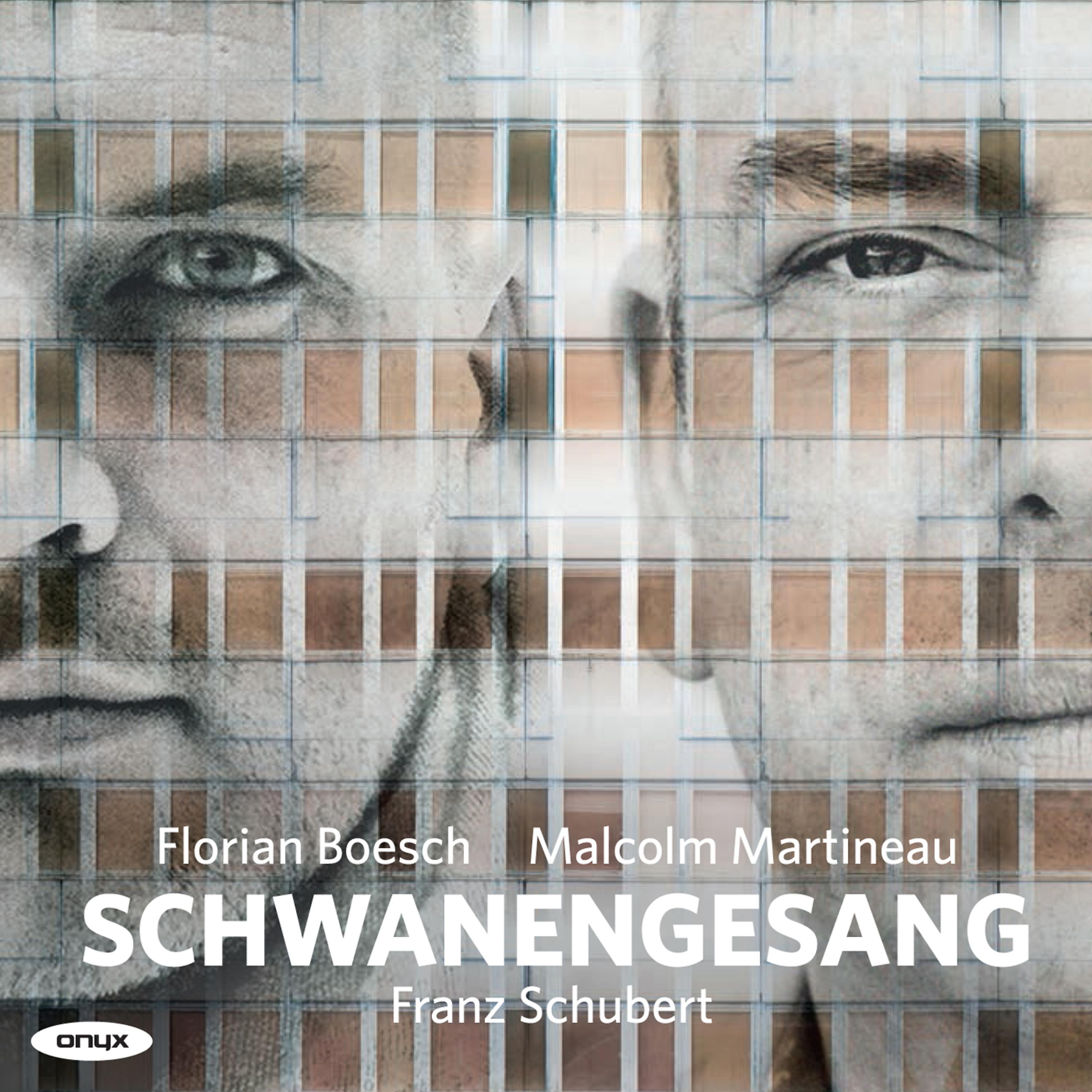 Постер альбома Schubert: Schwanengesang