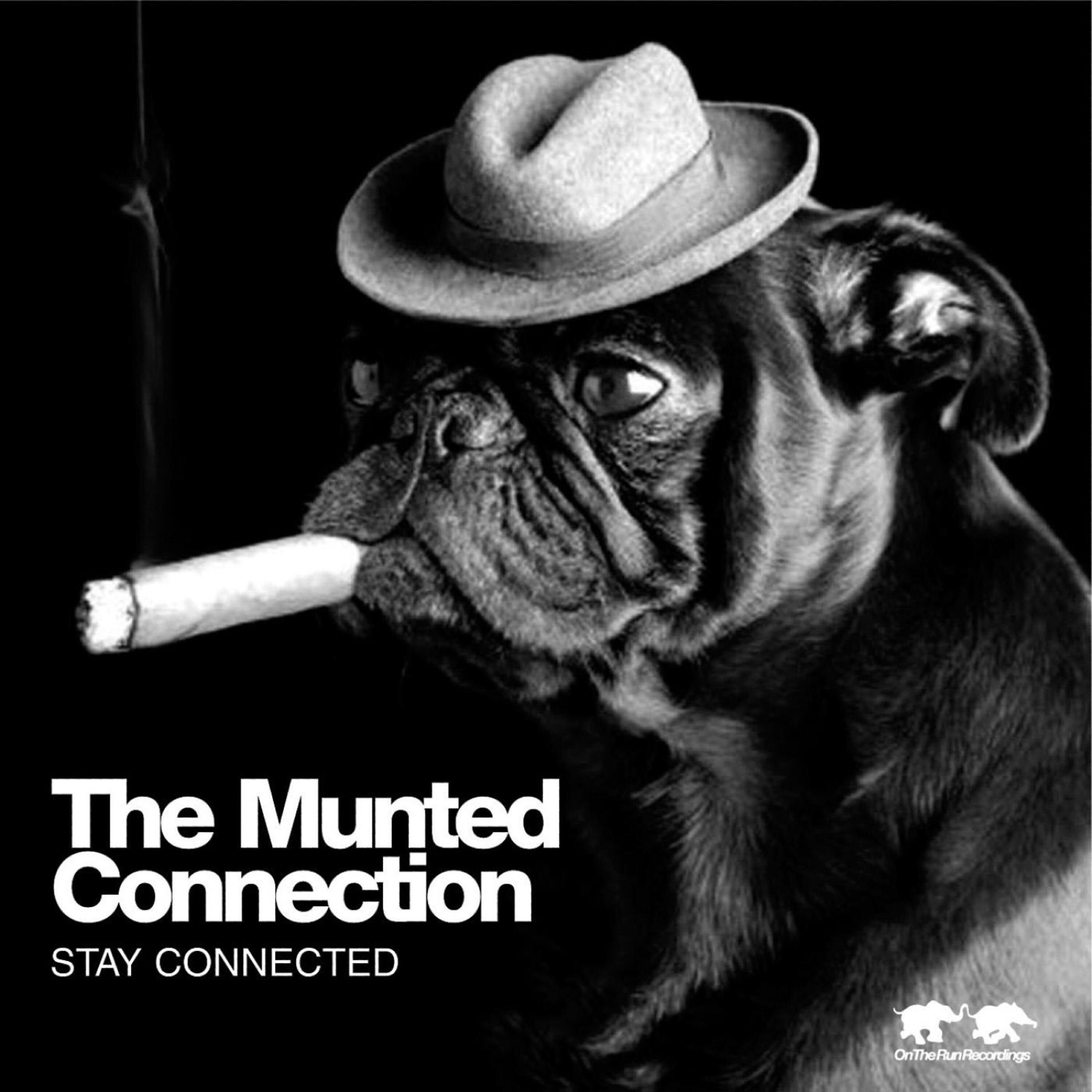 The Munted Connection - The Sun Always Fadeth In The West