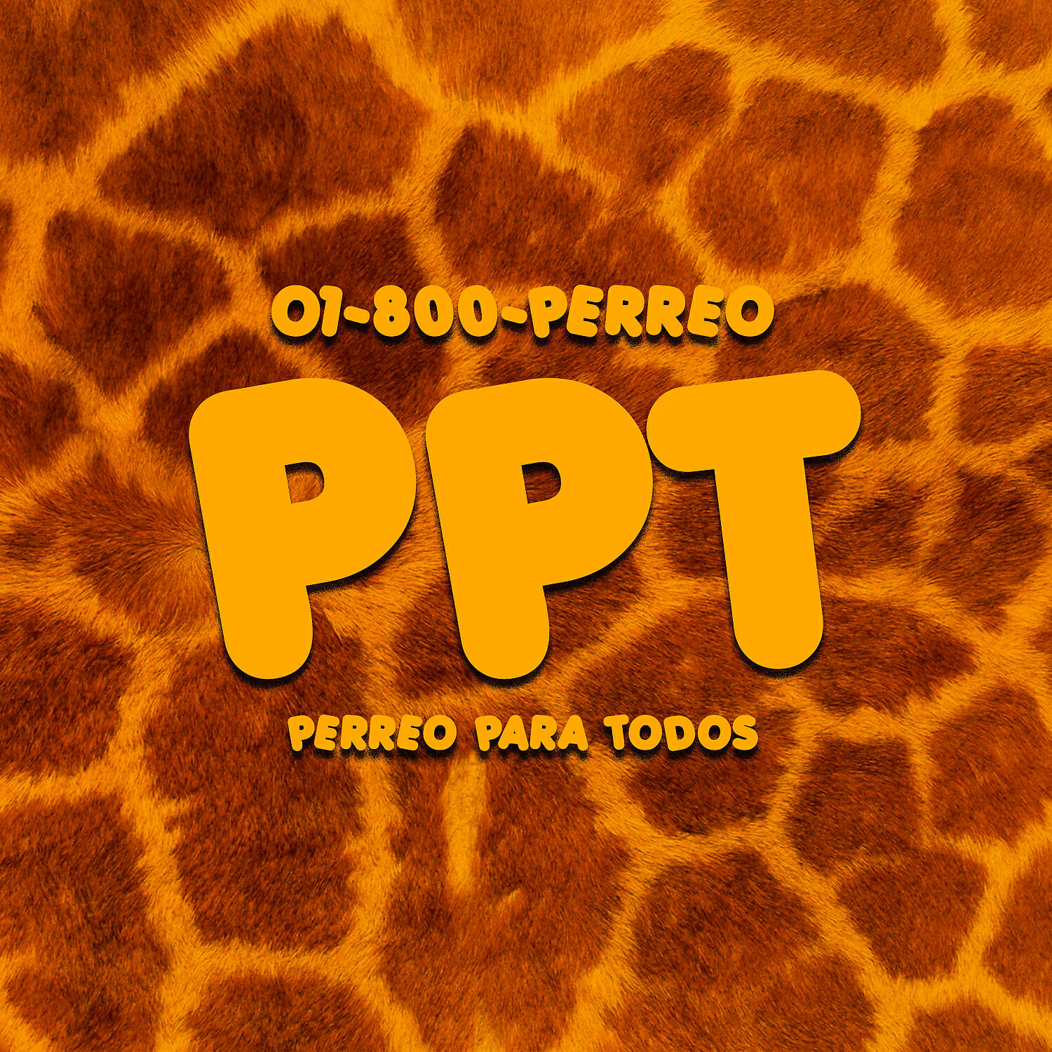 01-800-PERREO - P.P.T.