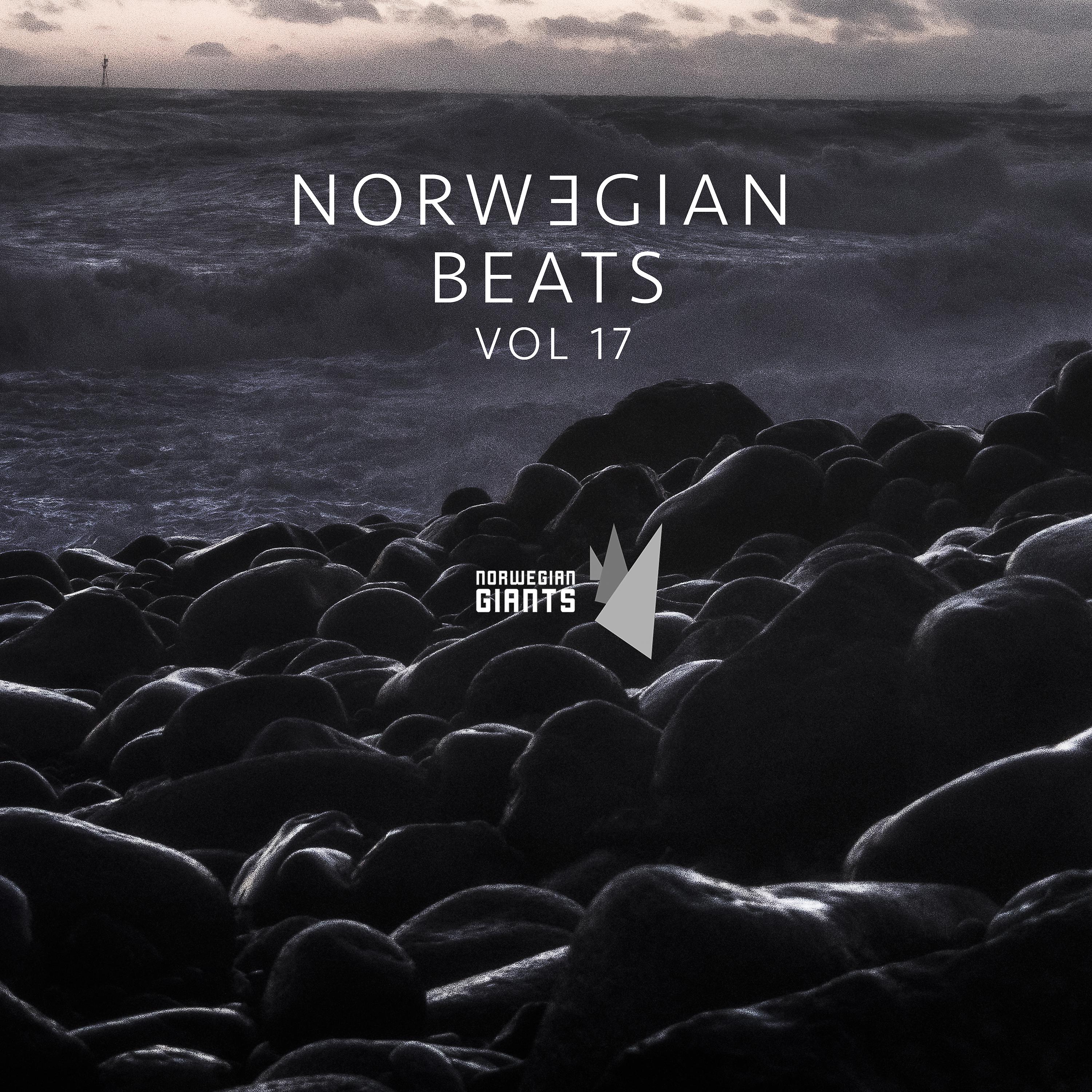 Постер альбома Norwegian Beats, Vol. 17