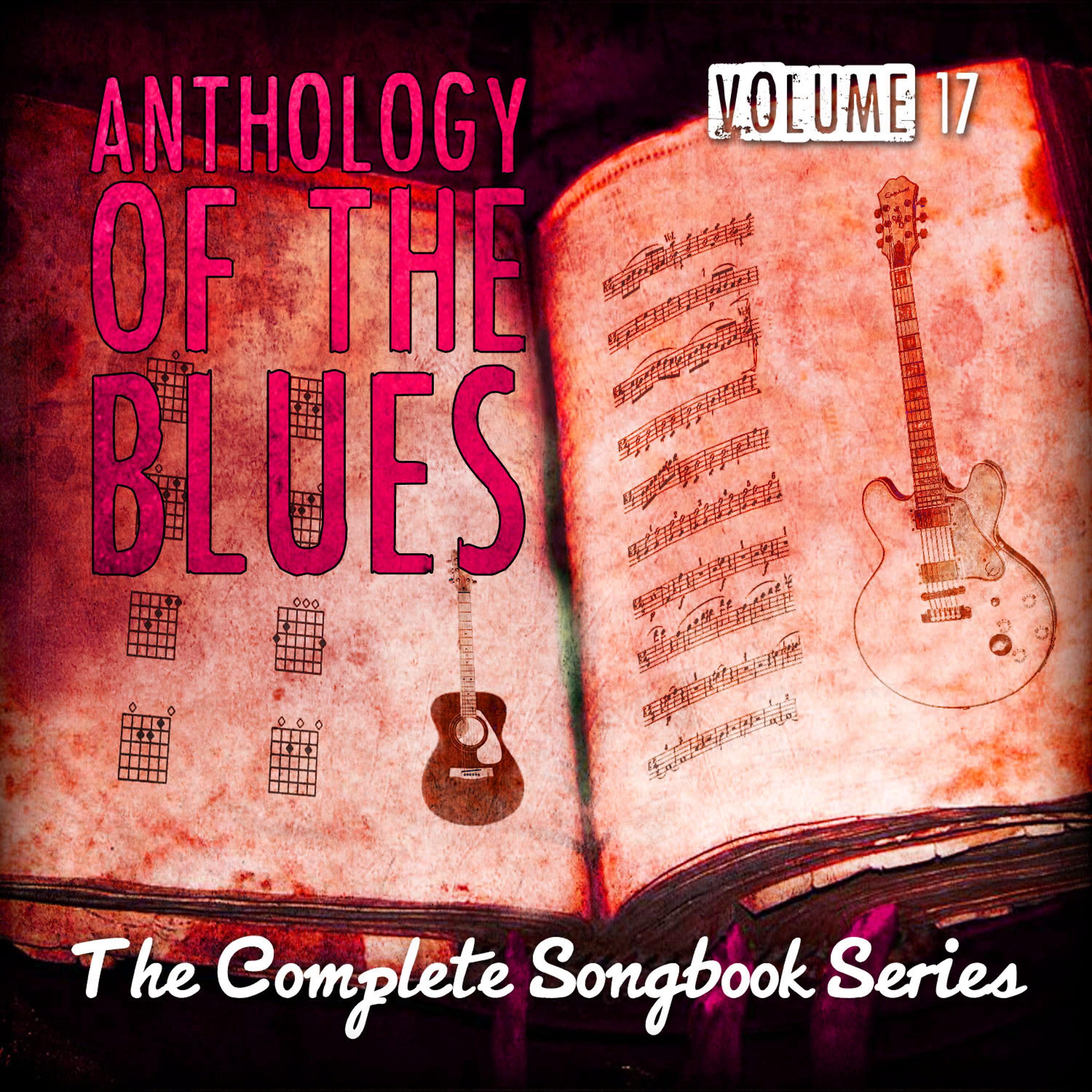 Постер альбома Anthology of the Blues - The Complete Songbook Series, Vol. 17