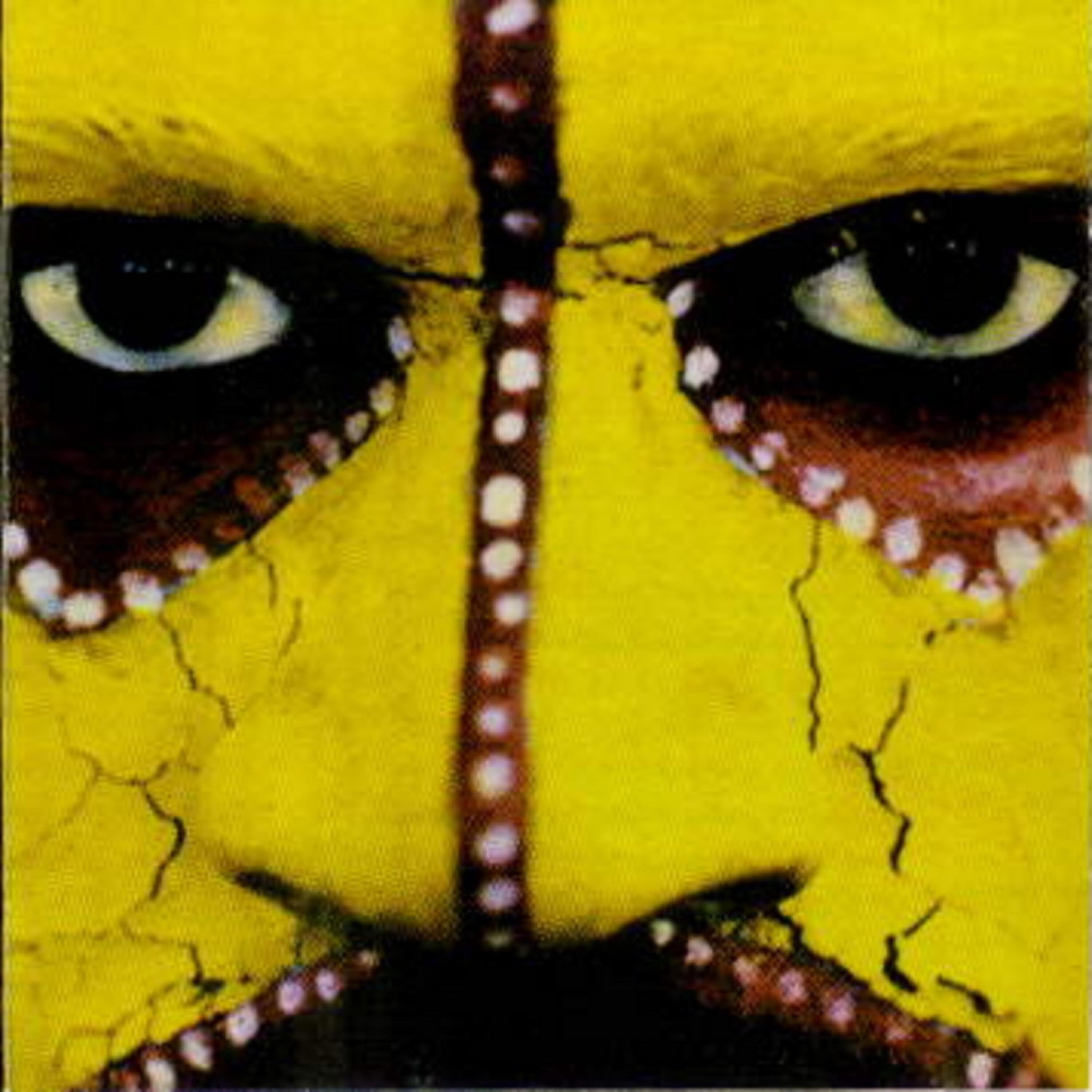 Nine Invisibles - Gondwanaland