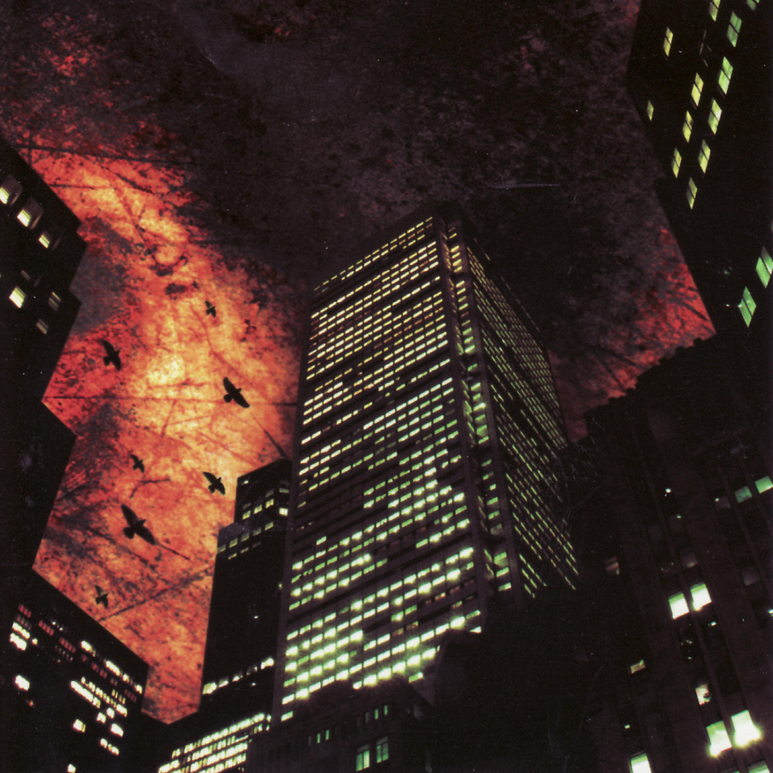Crane - Black Glove