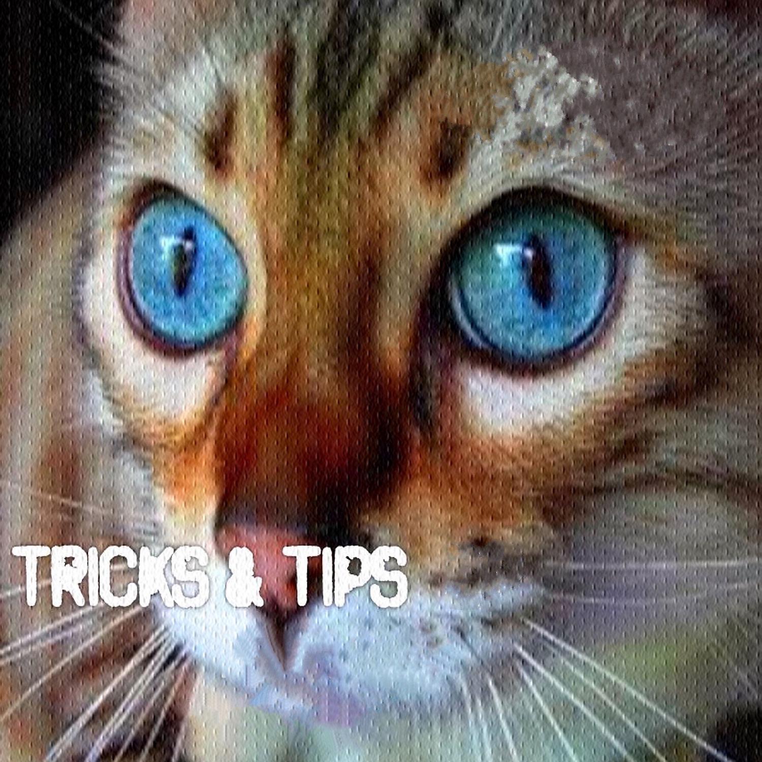 Постер альбома Tricks & Tips