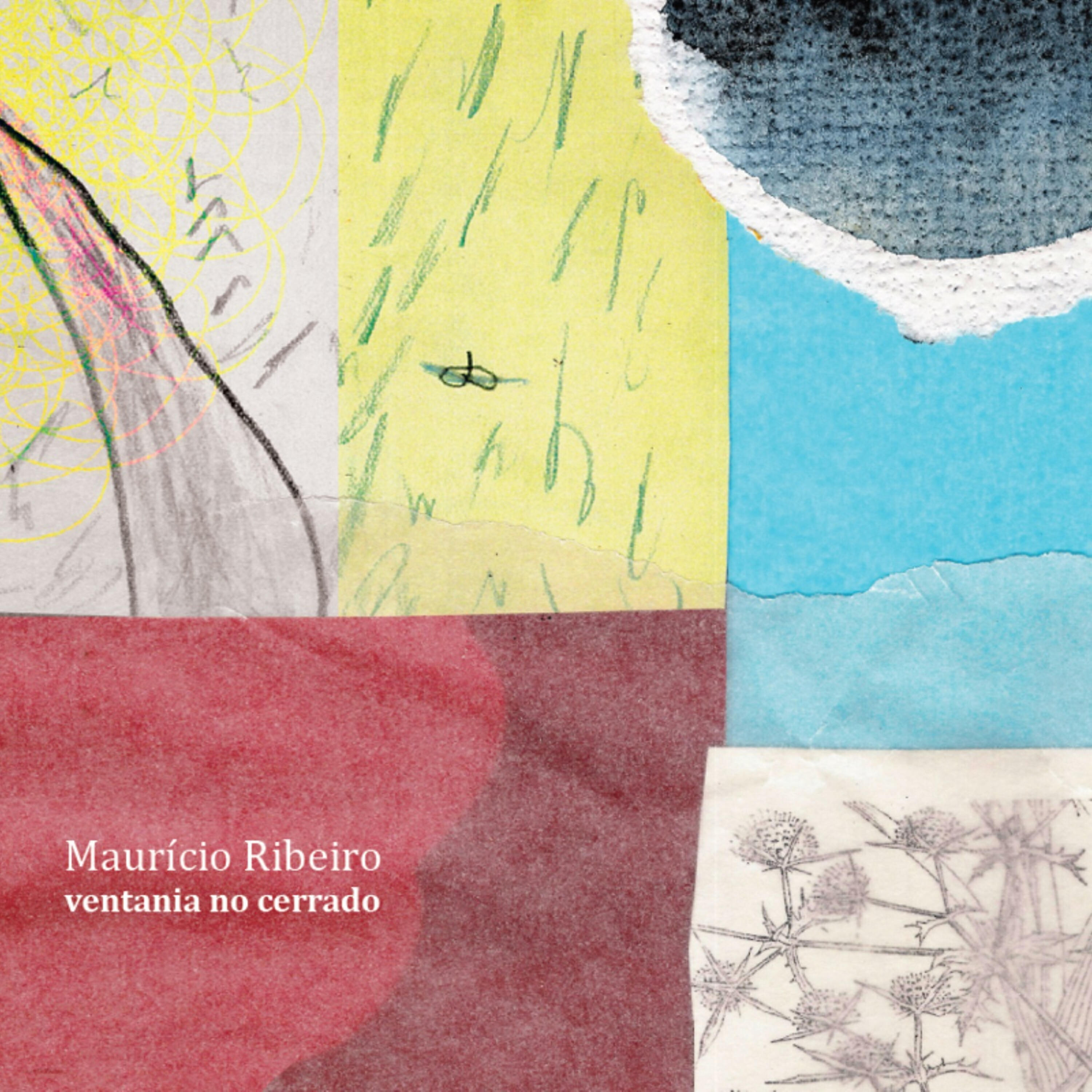 Mauricio Ribeiro - Ventania No Cerrado No. 2