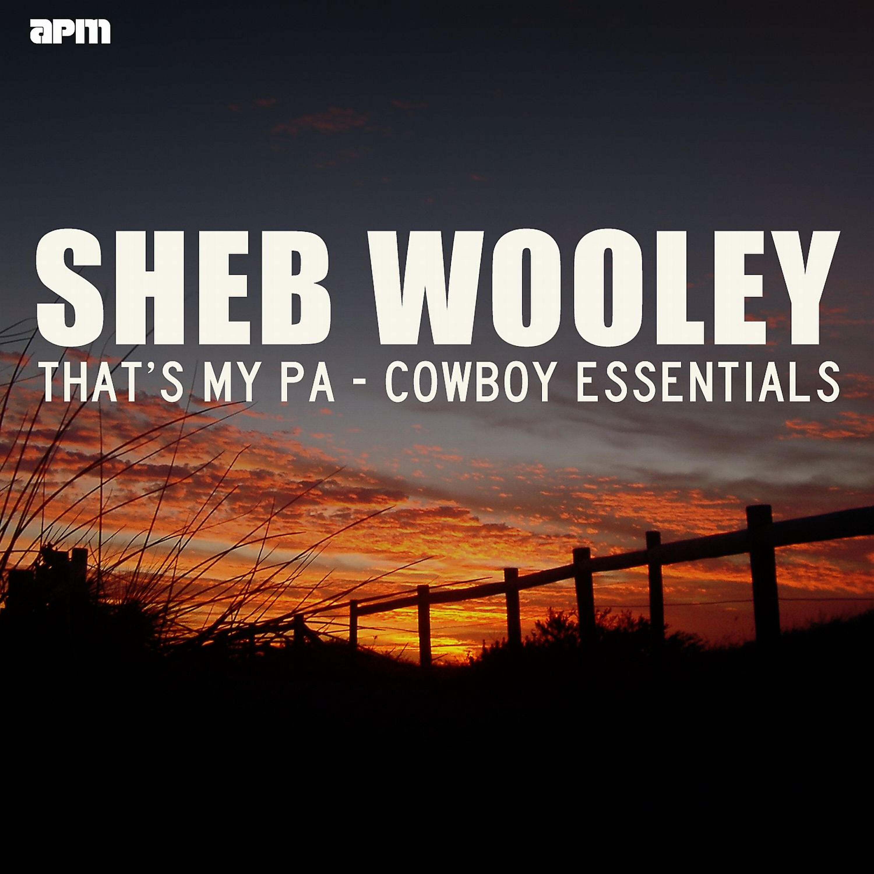 Sheb Wooley - Blue Guitar