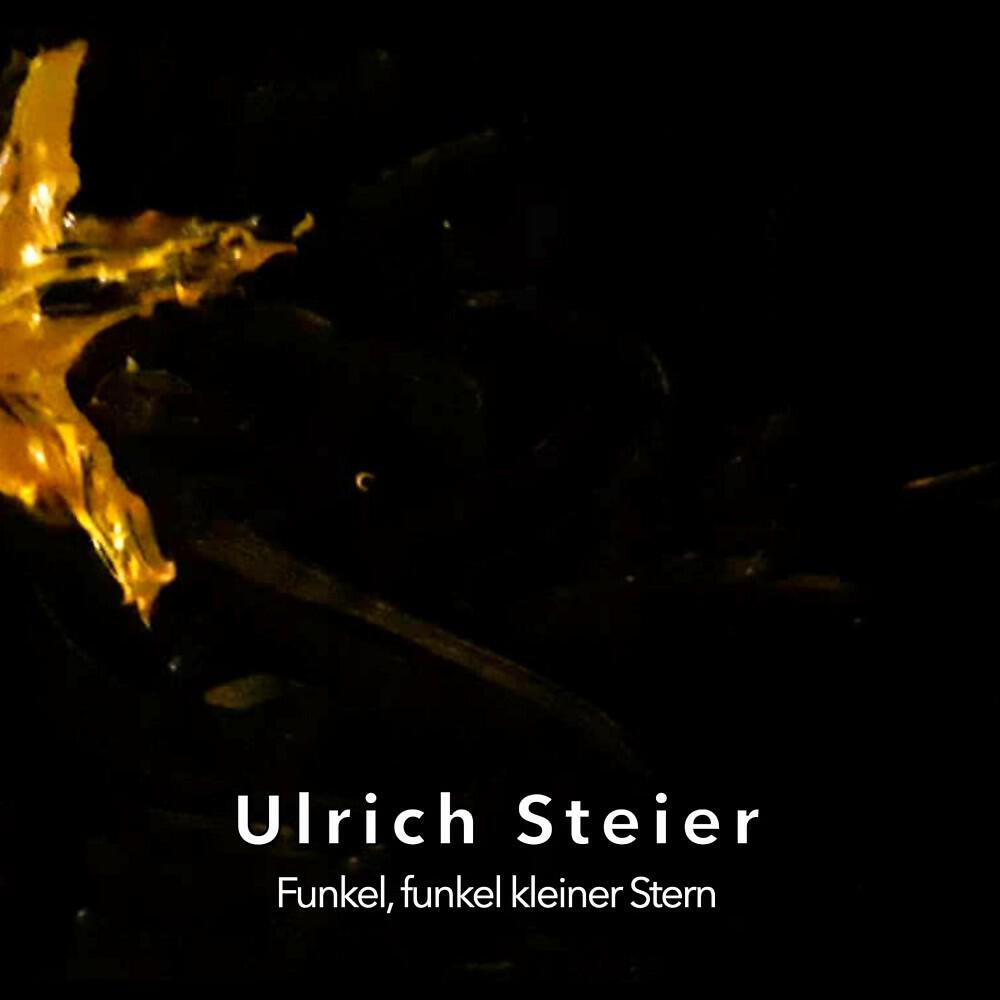 Ulrich Steier - Twinkle, Twinkle Little Star