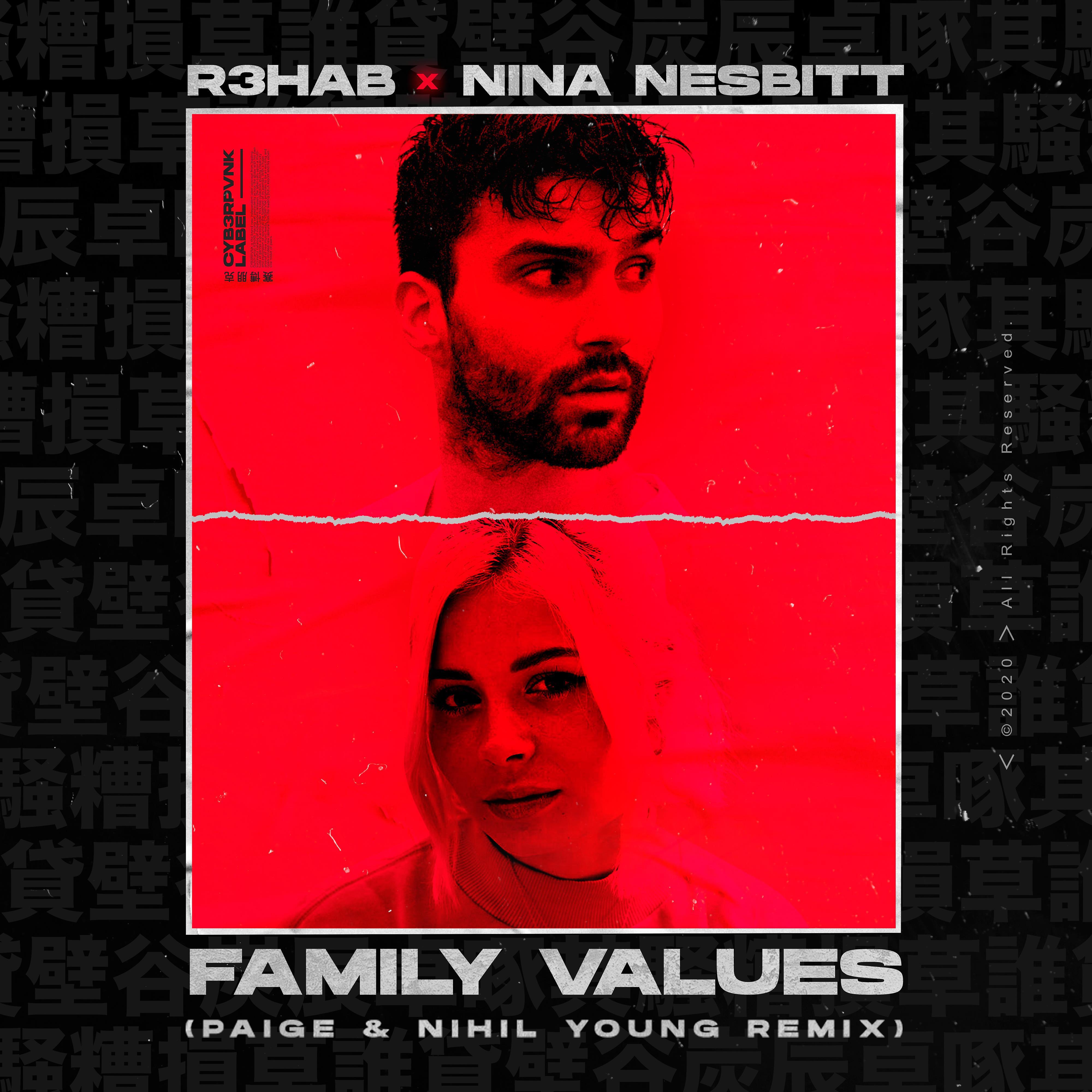 Постер альбома Family Values (Paige & Nihil Young Remix)