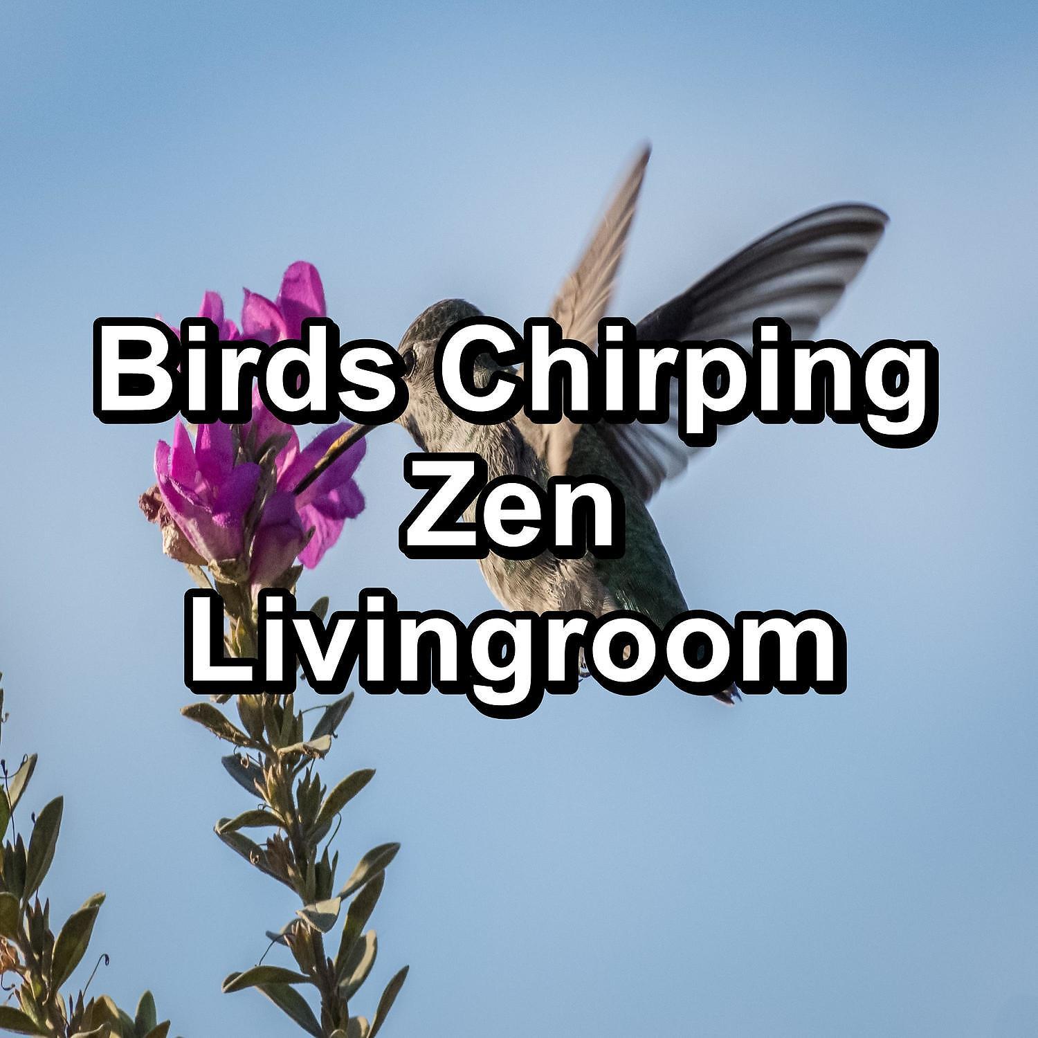 Постер альбома Birds Chirping Zen Livingroom