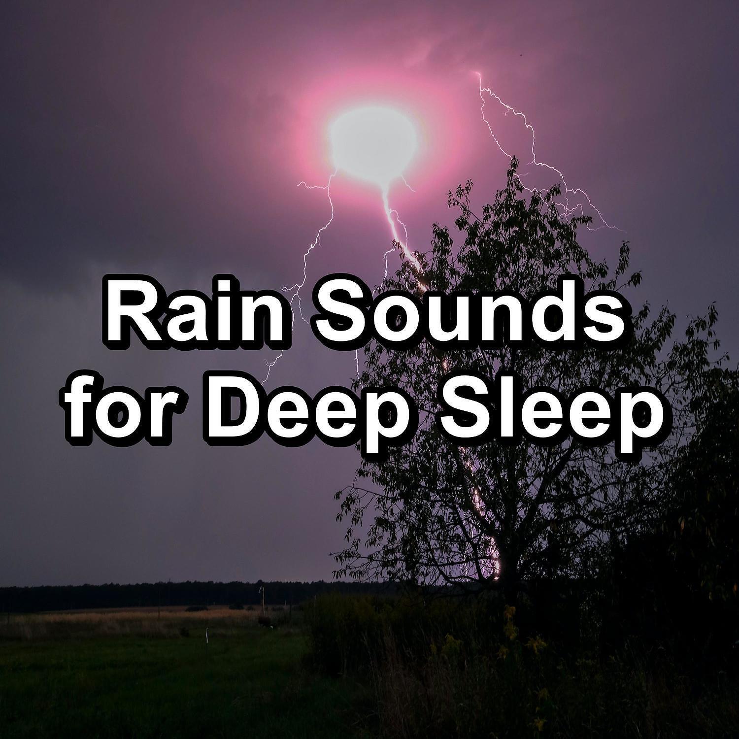 Nature - Rain Sound Droplets with Sleeping Music