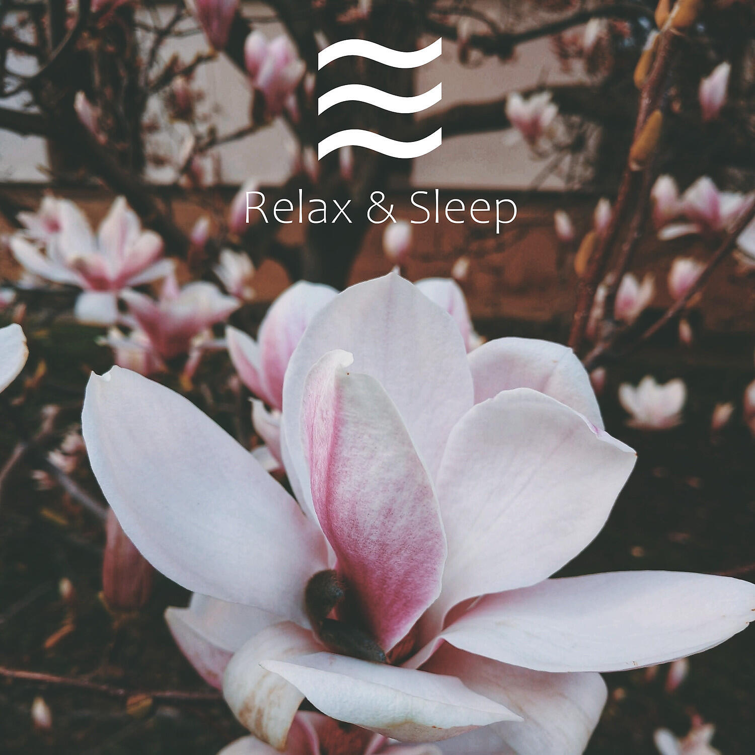 Pink Restful Shushers - Cosy Sound of Pink Noise