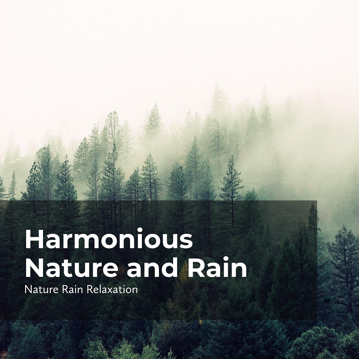 Постер альбома Harmonious Nature and Rain