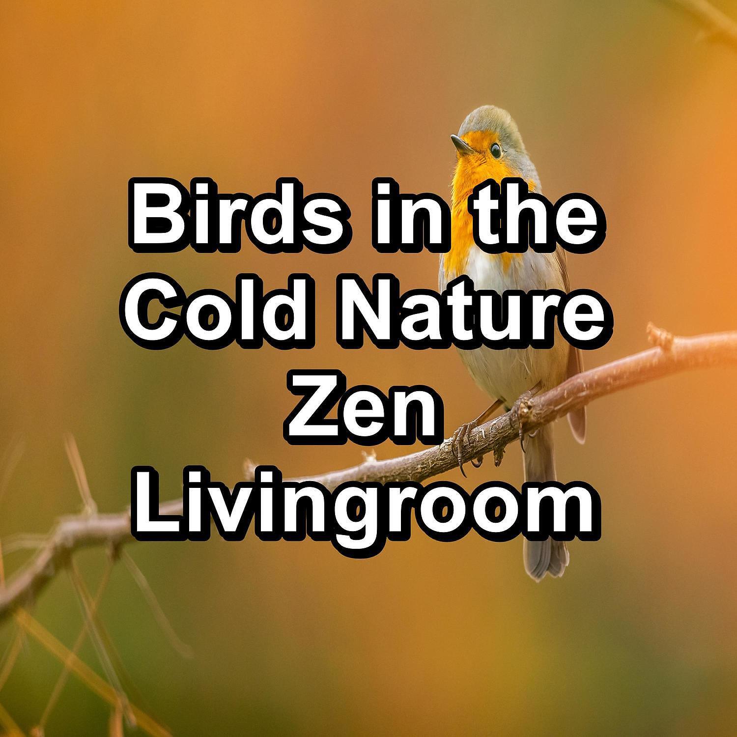 Bird Sound Collectors - Music from Birds Natural Sounds Loop your Whole Sleep