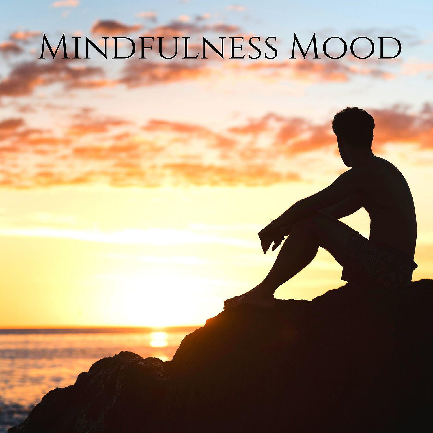 Calm Music Zone - Stress Relief Calm Oasis