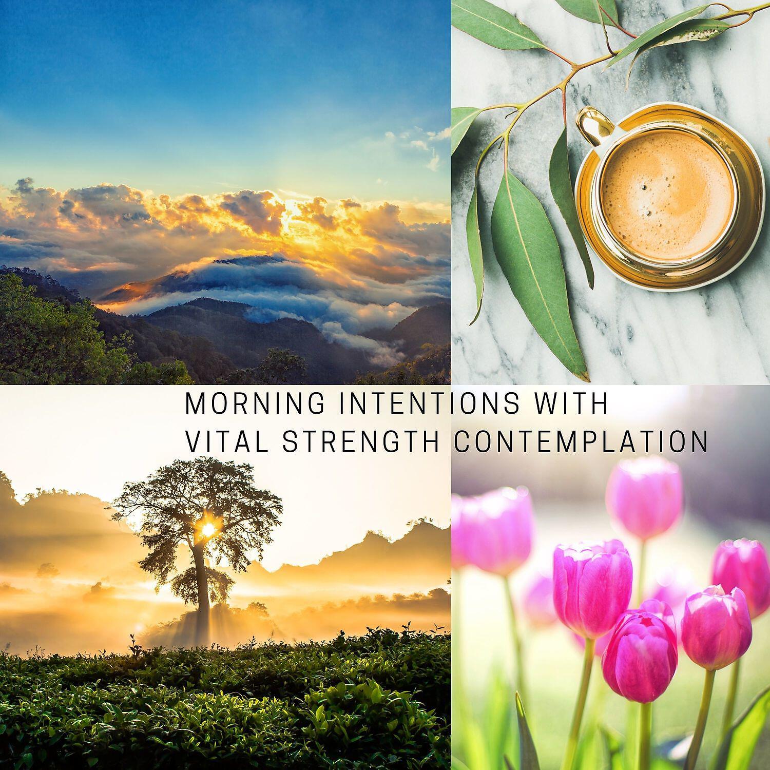 Stress Relief Calm Oasis - Cultivate Focus and Intuition