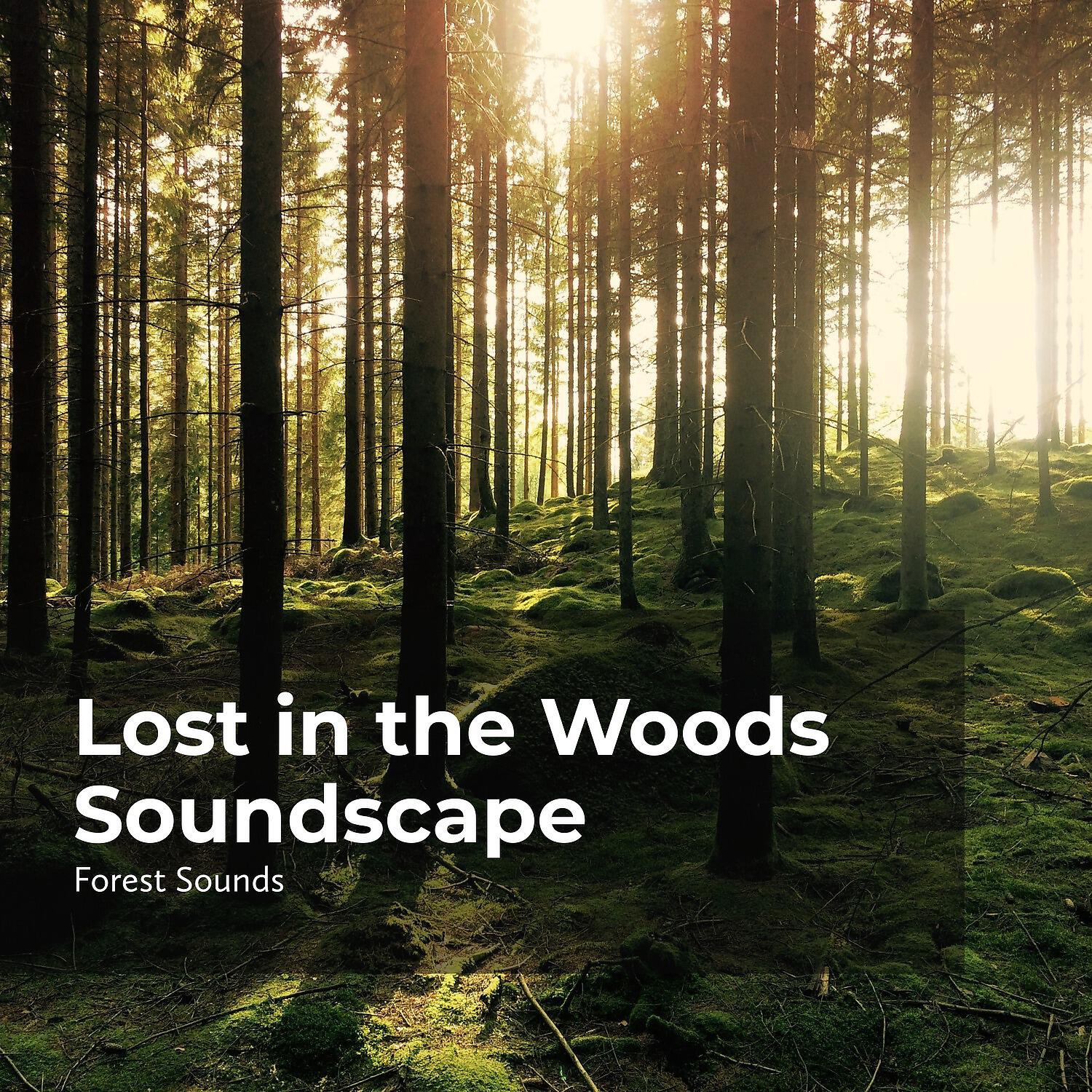 Forest Sounds - Calm Running River