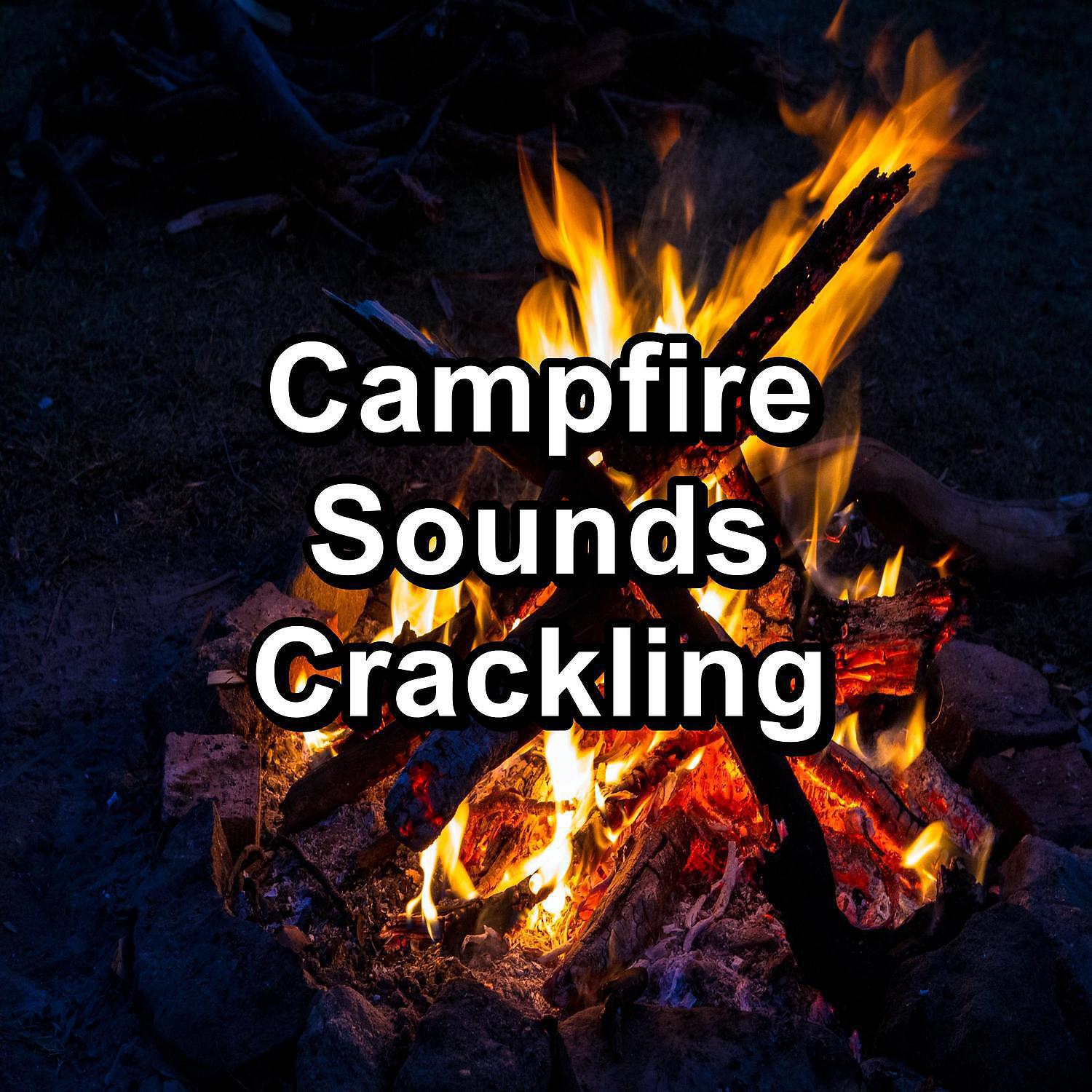 Rain Sounds Sleep - Warm Fire in the Forest For Infants