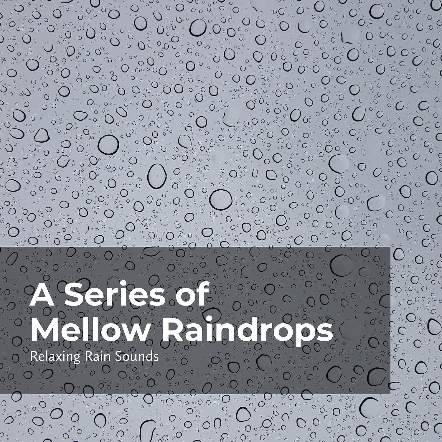 Relaxing Rain Sounds - Rich Lavish Raindrops