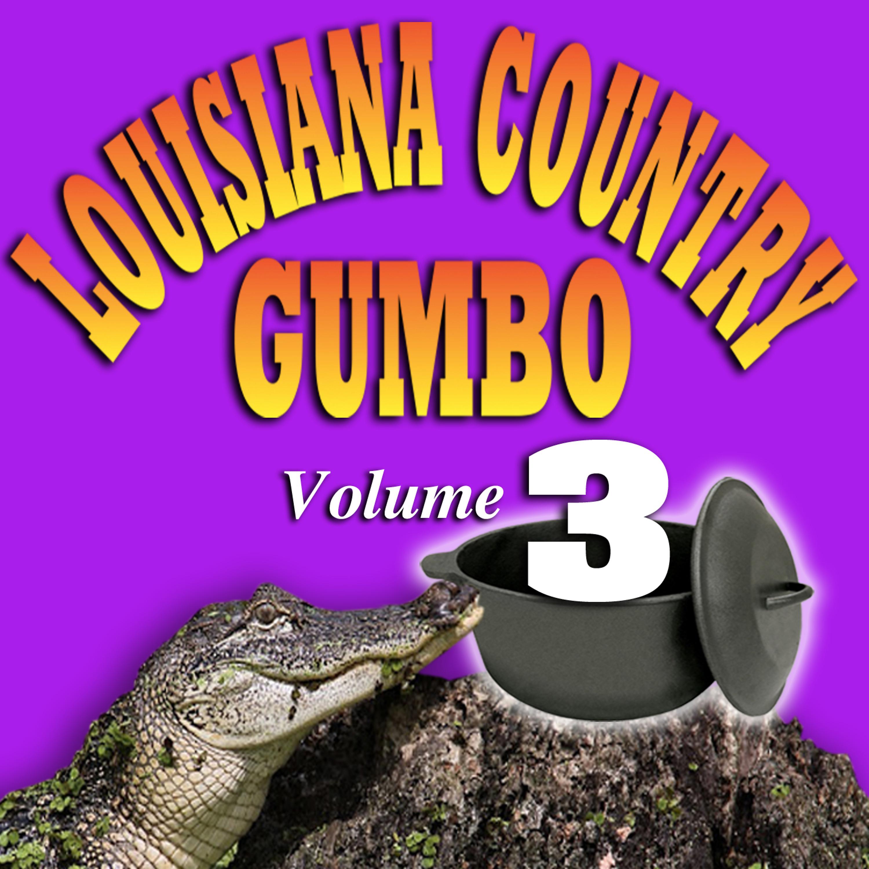 Постер альбома Louisiana Country Gumbo Vol. 3