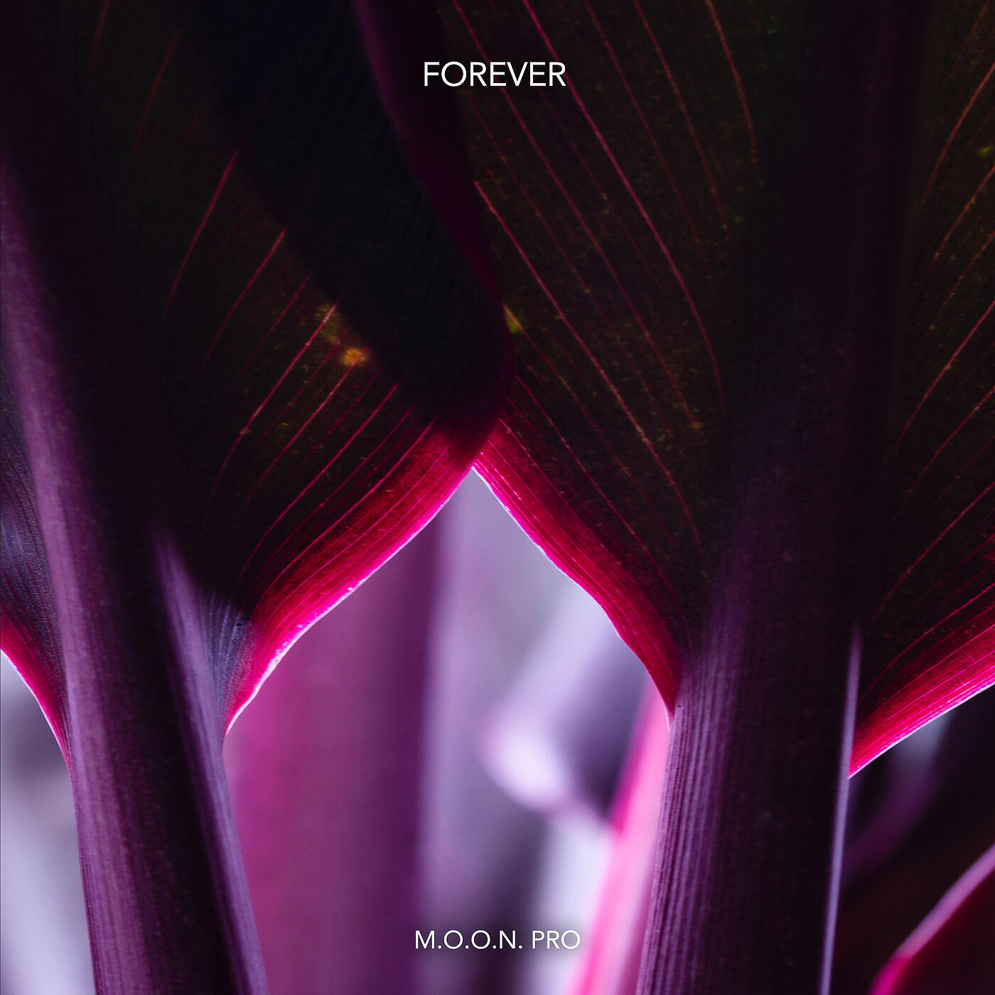 M.O.O.N. Pro - Forever