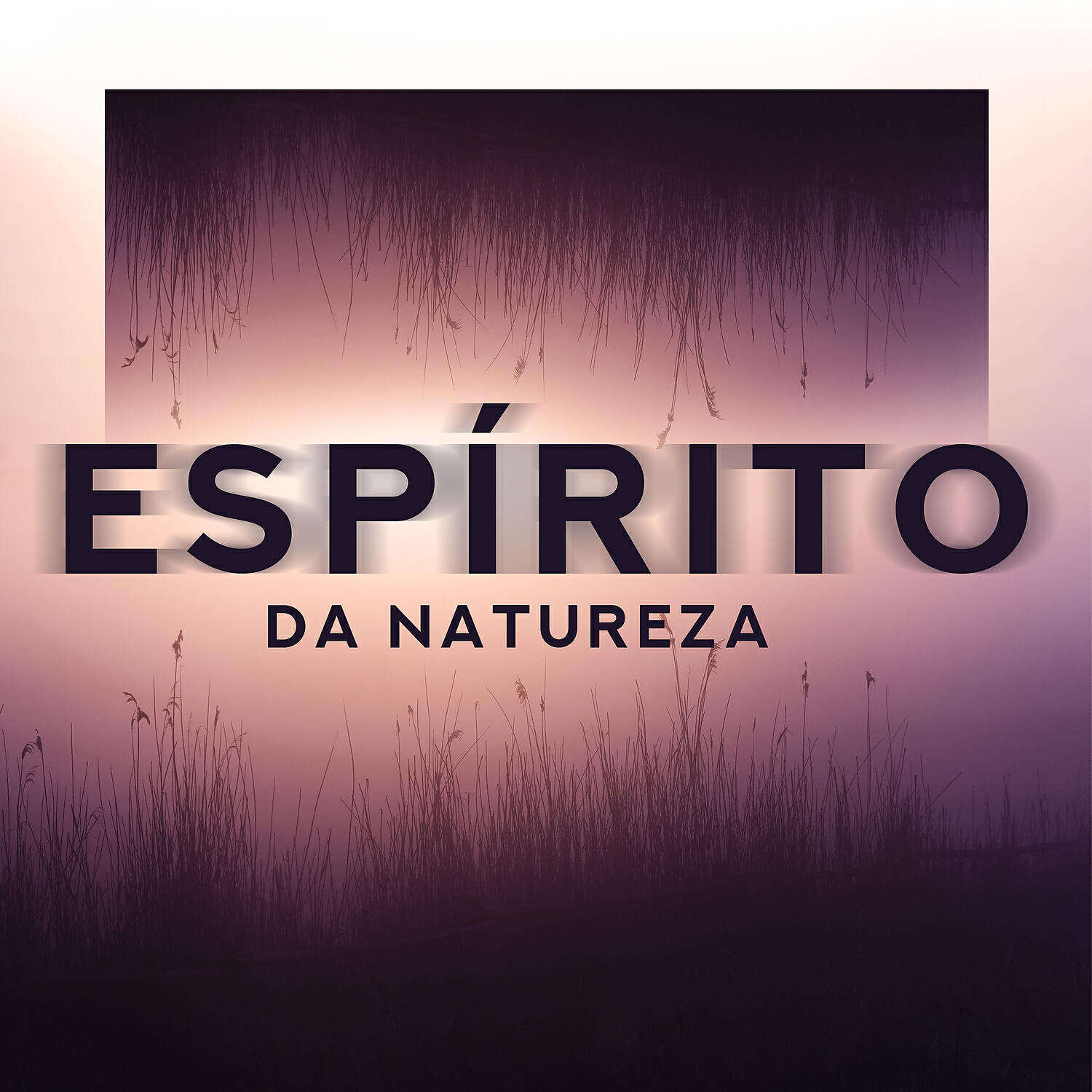 Academia Sons da Natureza - Água Benta