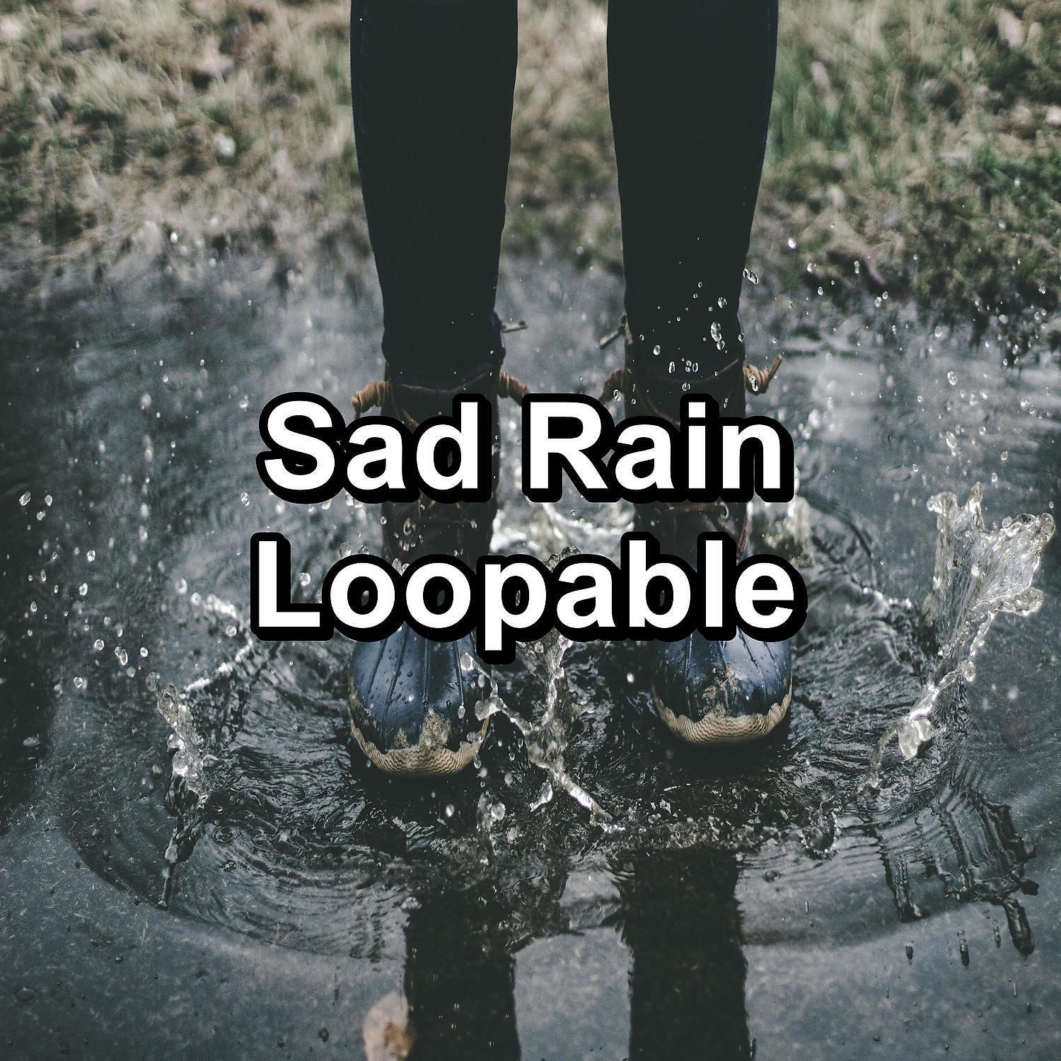 Relax Music Therapy - White Noise Rain in the Rainy Forest To Help Your Baby Sleep