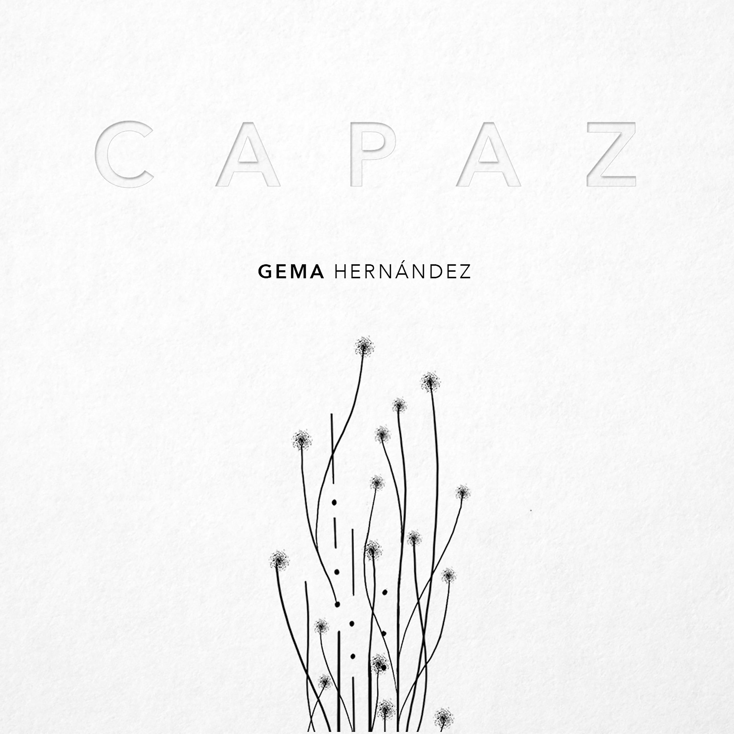 Постер альбома Capaz