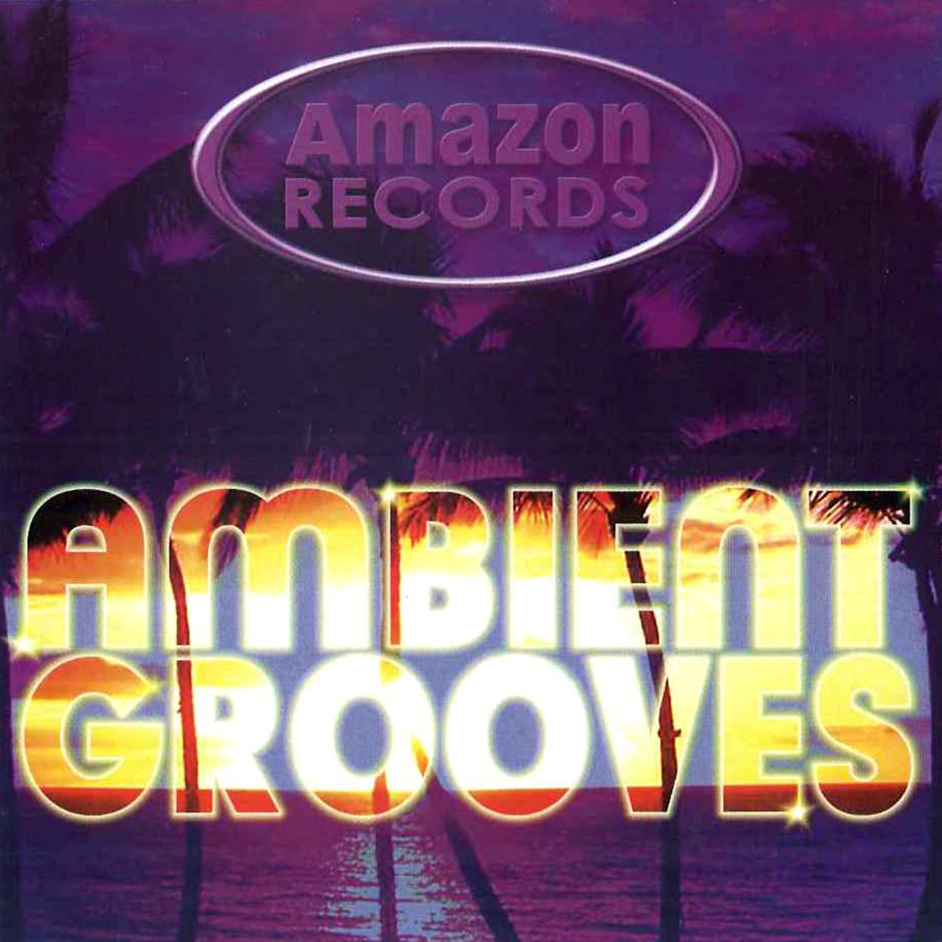 Постер альбома Ambient Grooves