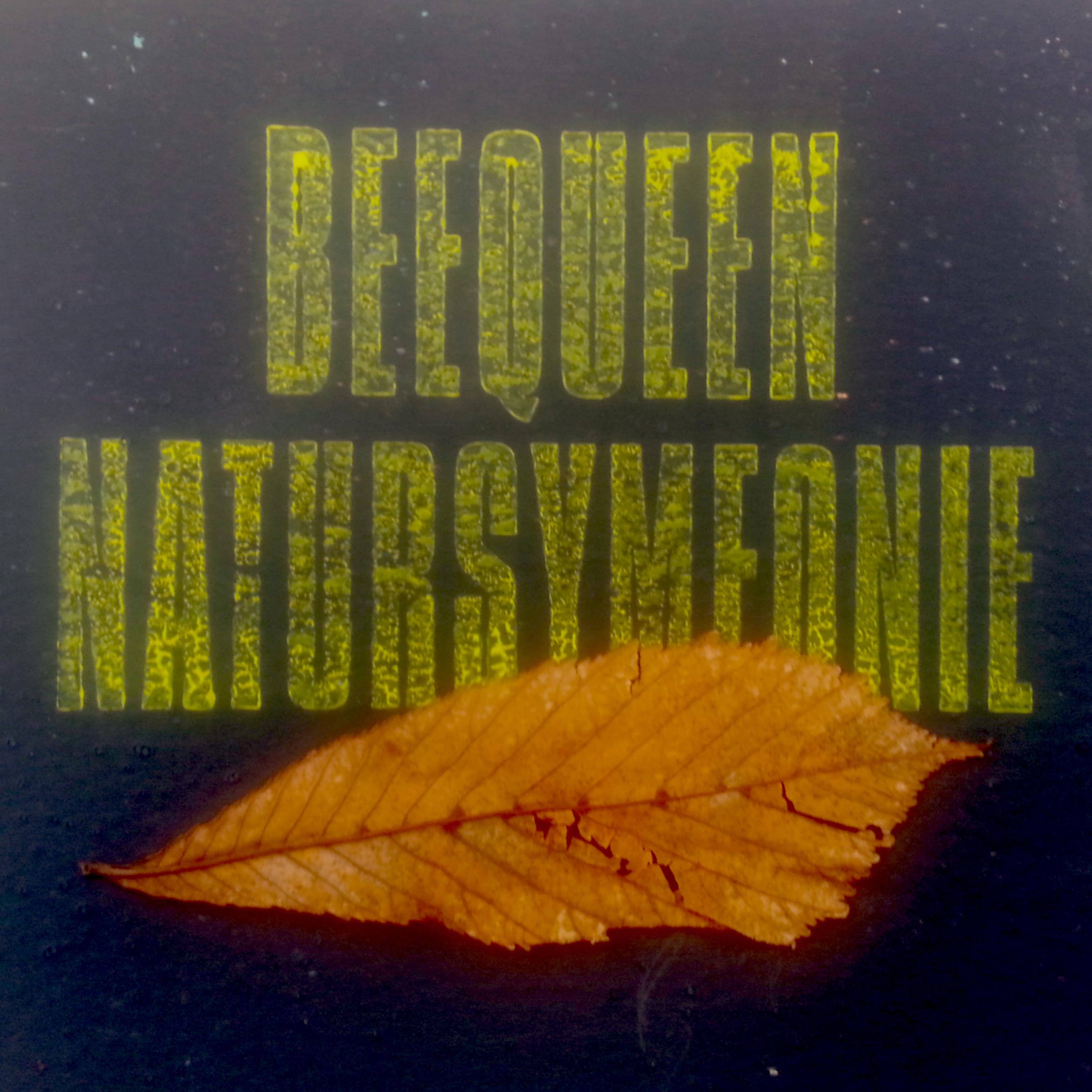 Постер альбома Natursymfonie