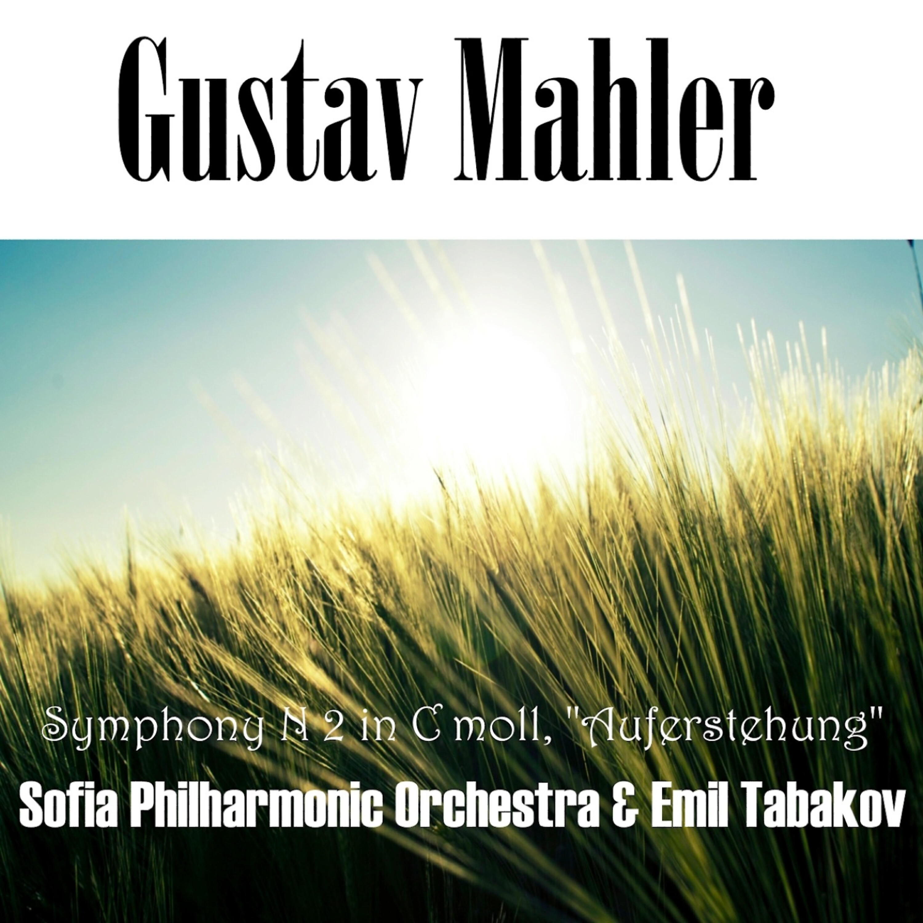SOFIA PHILHARMONIC ORCHESTRA - Symphony No 2 in C-moll: 1. Allegro maestoso