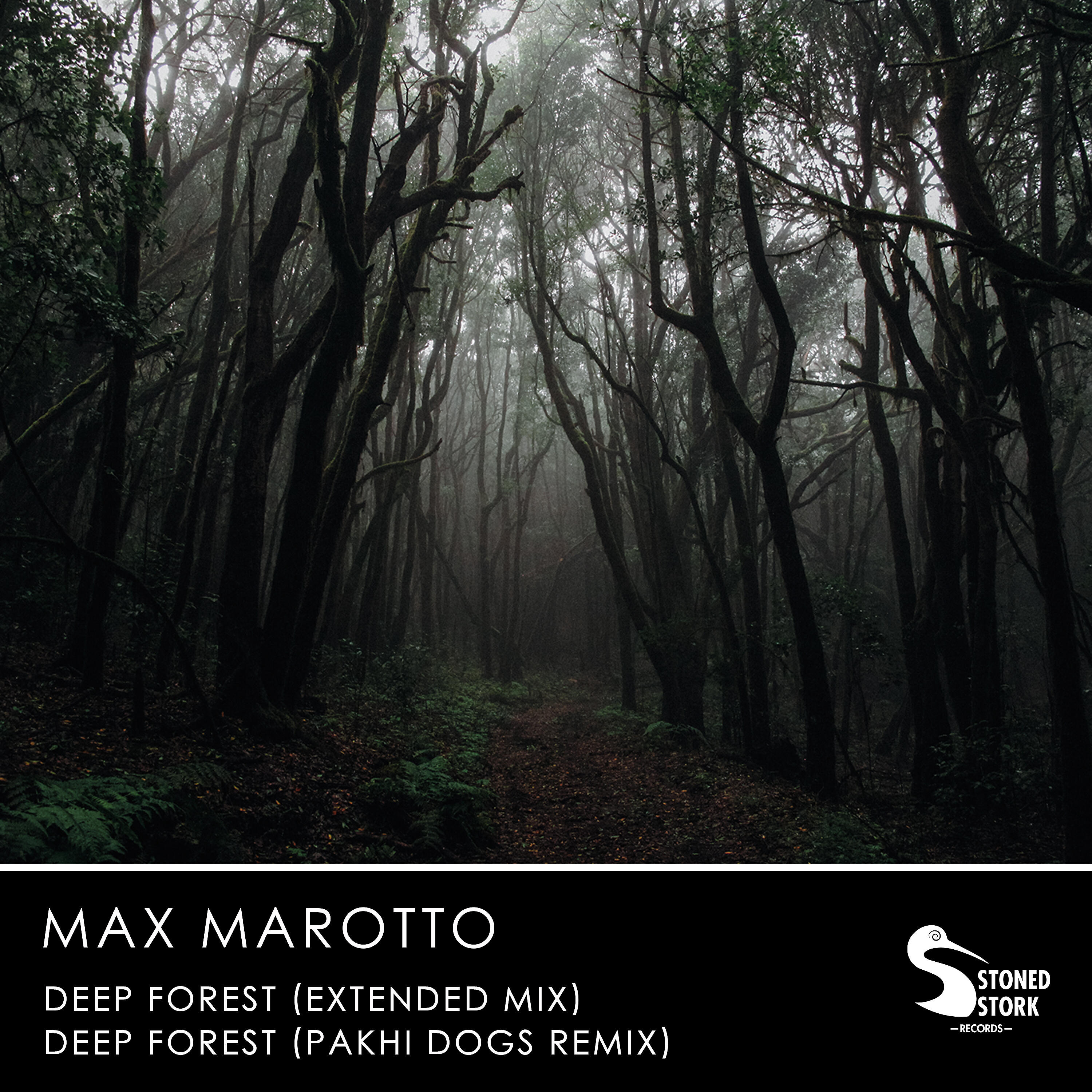 Max Marotto - Deep Forest (Extended Mix)