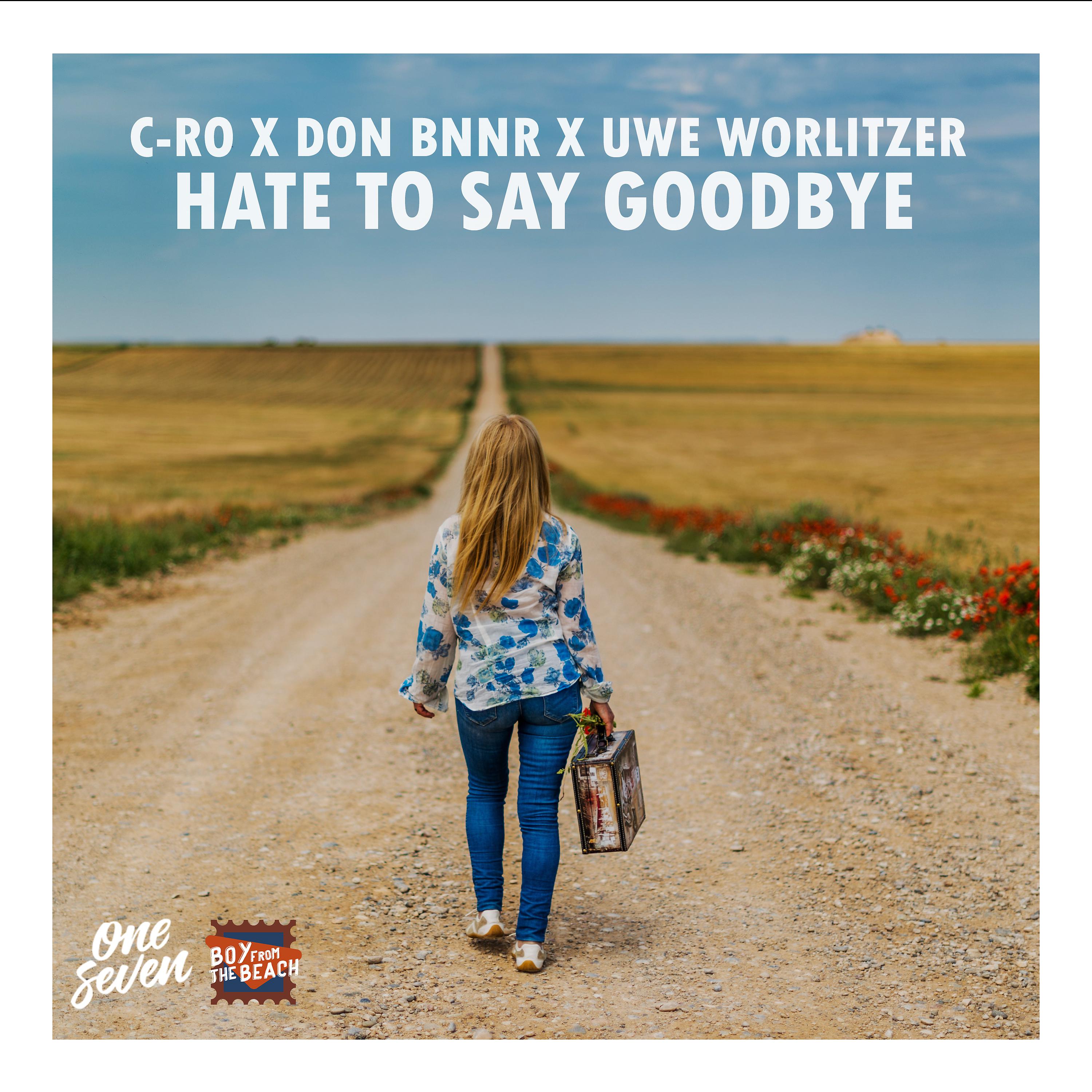 Постер альбома Hate to Say Goodbye