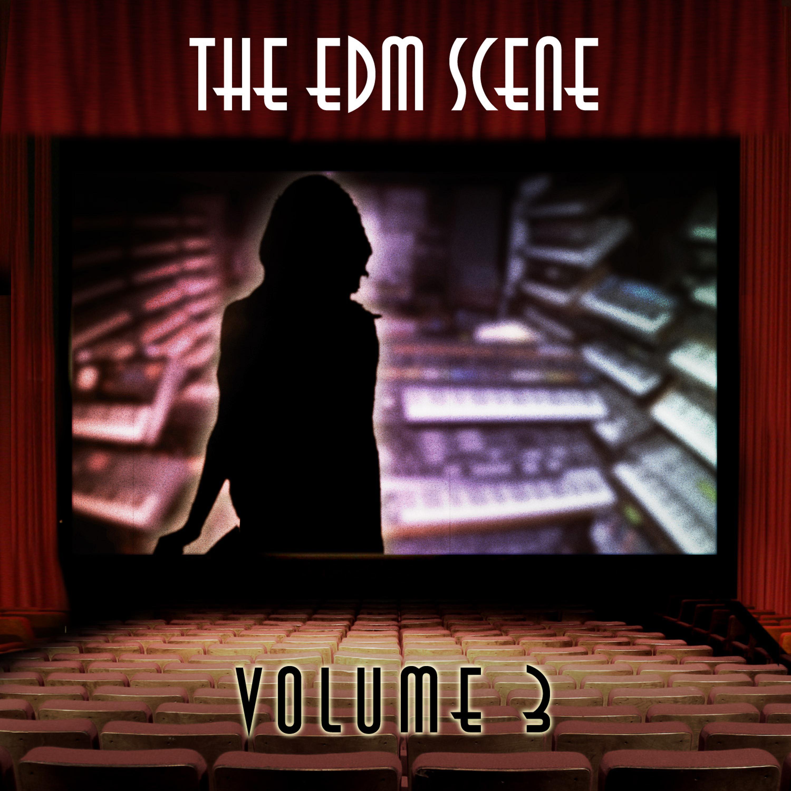 Постер альбома The EDM Scene, Vol. 3