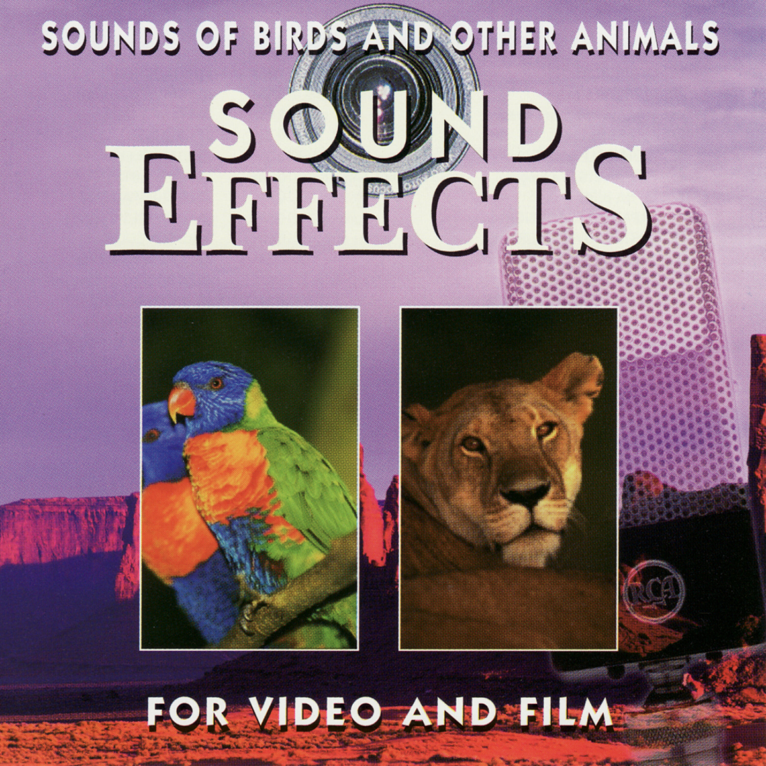 Sound Effects - Macaw and Other Birds