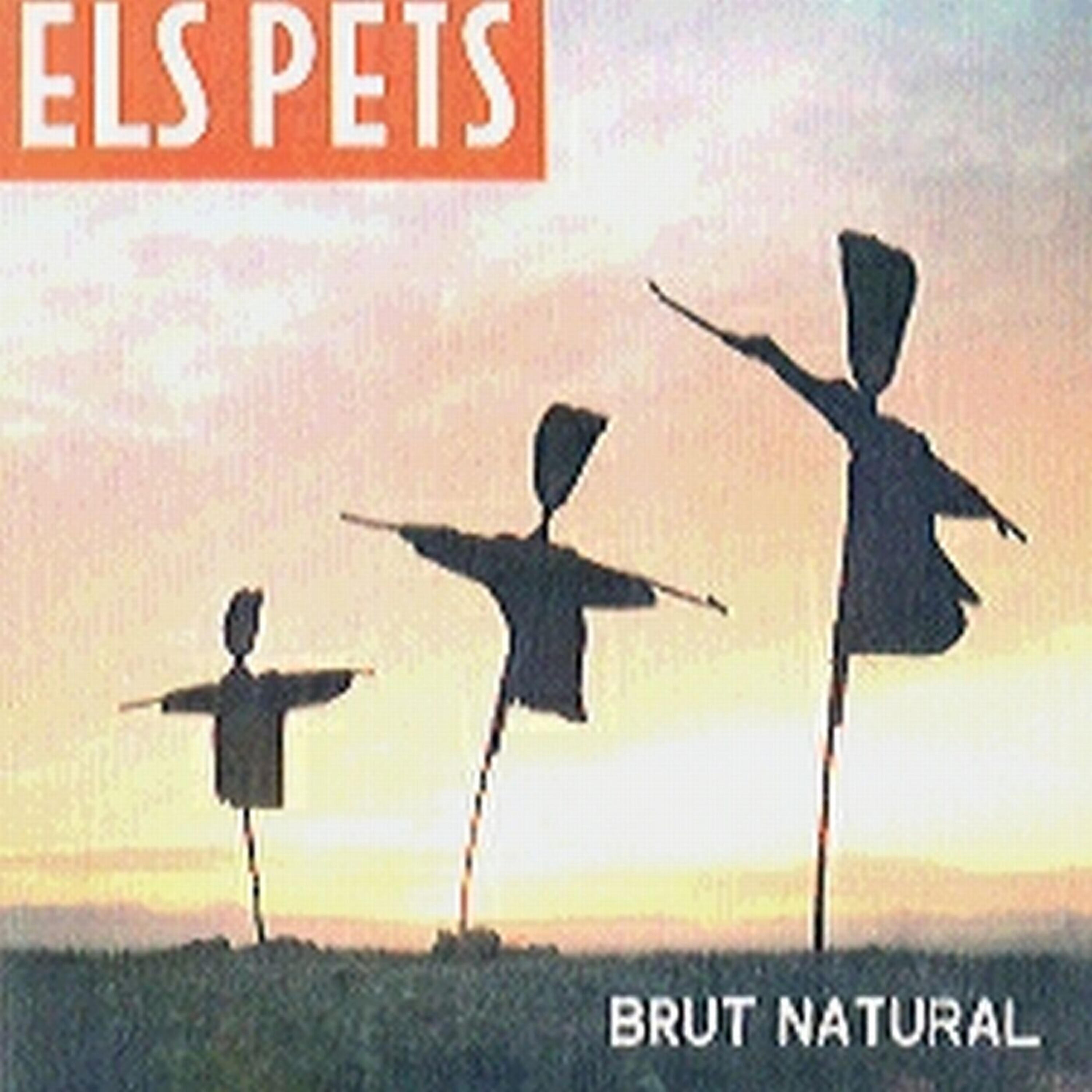 Els Pets - No t'enyoro - Cançó d'amor desesperada