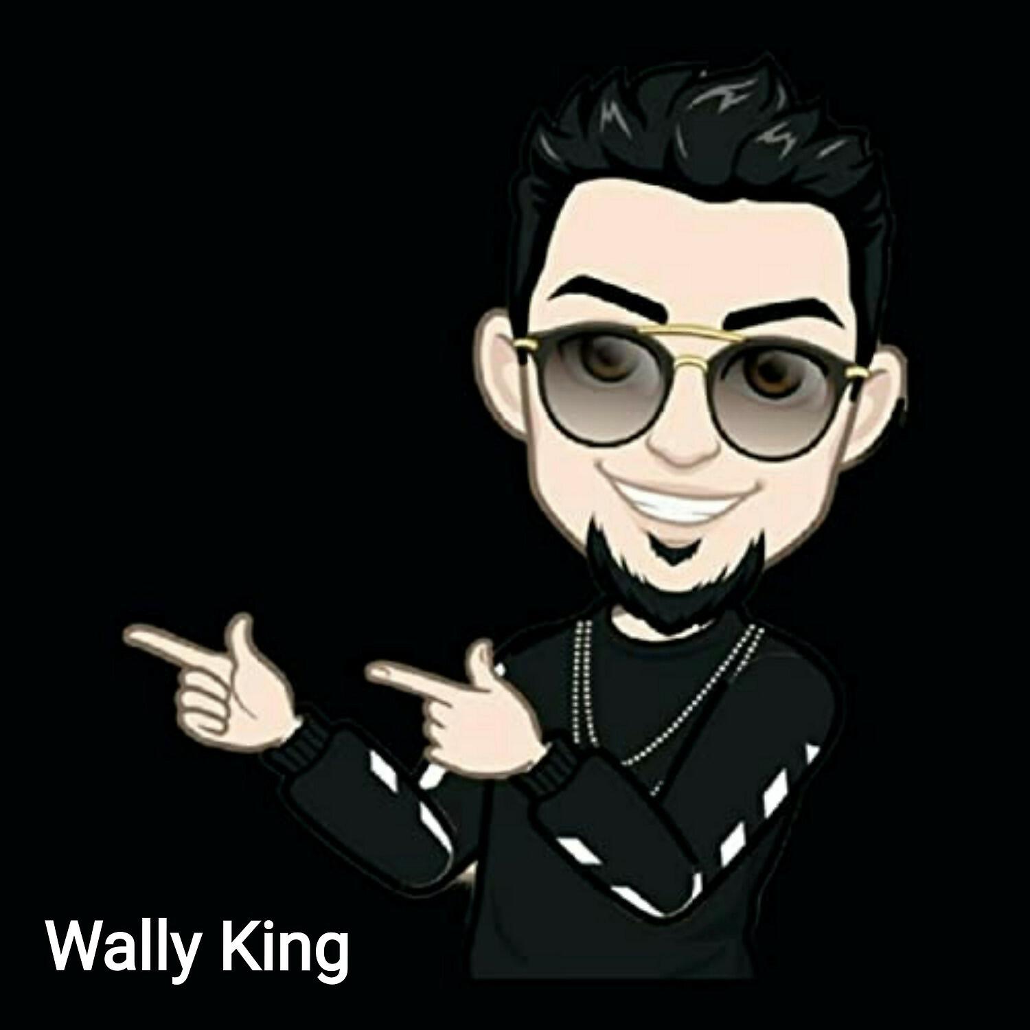 Wally king - Quiero Volver a Vivir