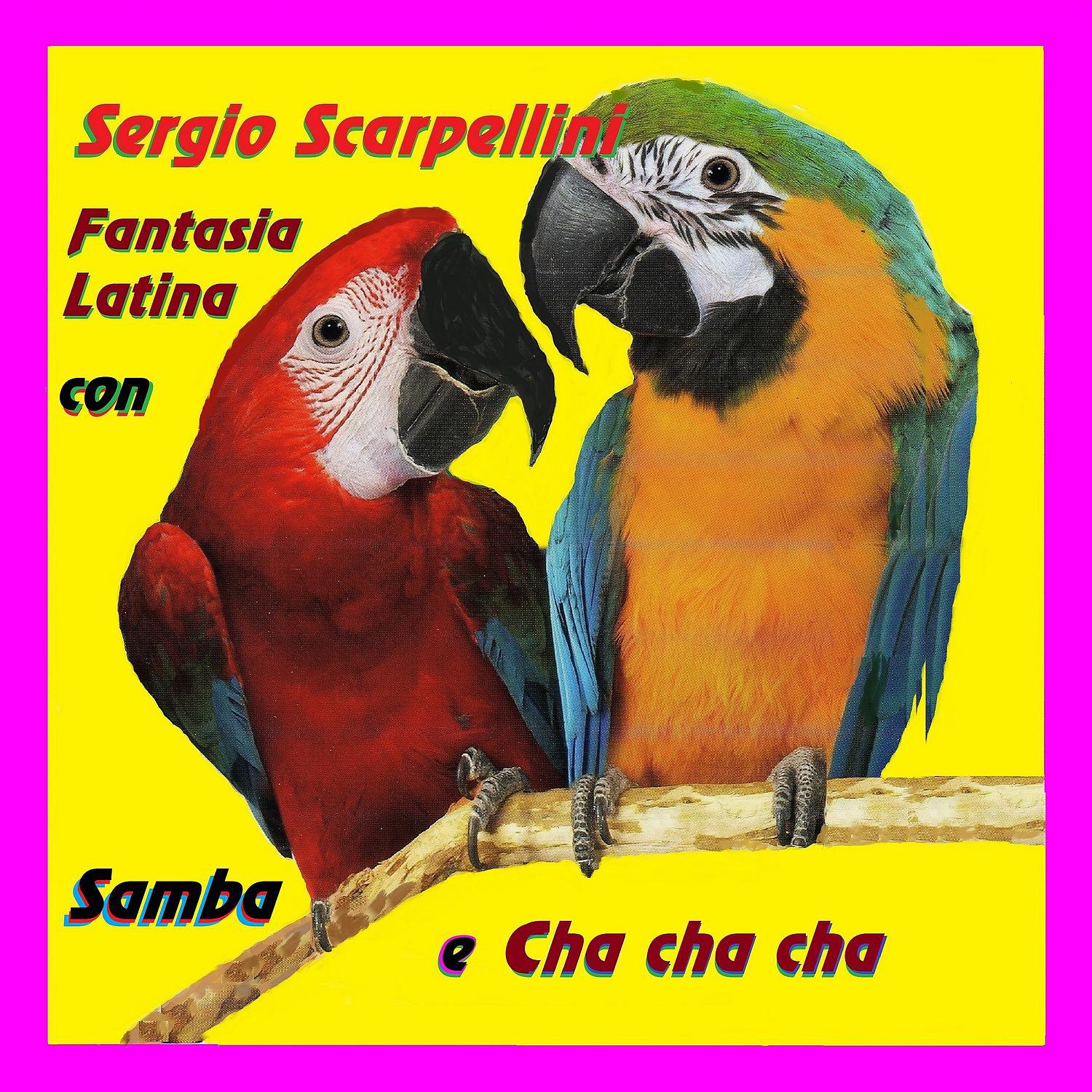 Постер альбома Fantasia latina con samba e cha cha cha