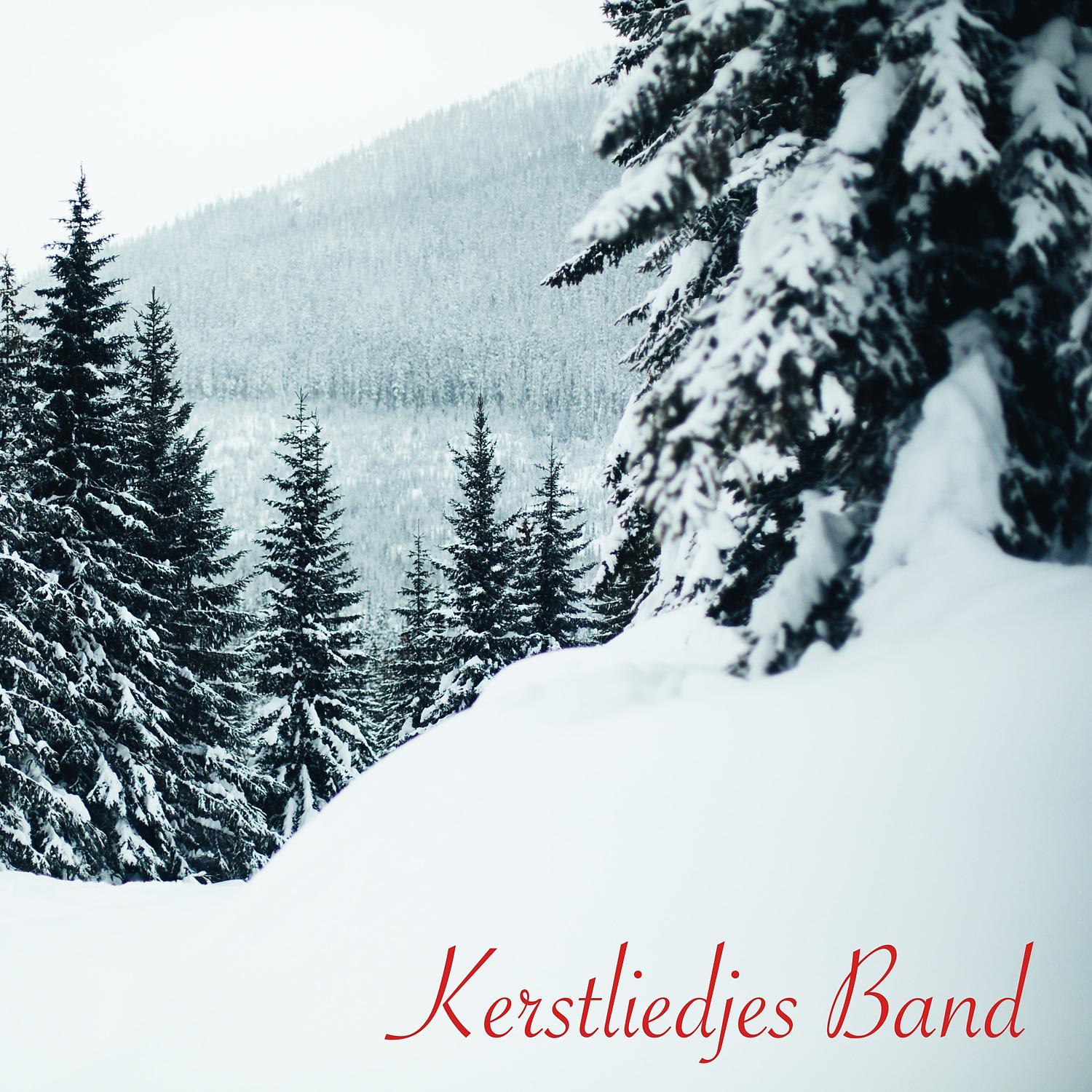 Постер альбома Kerstliedjes Band