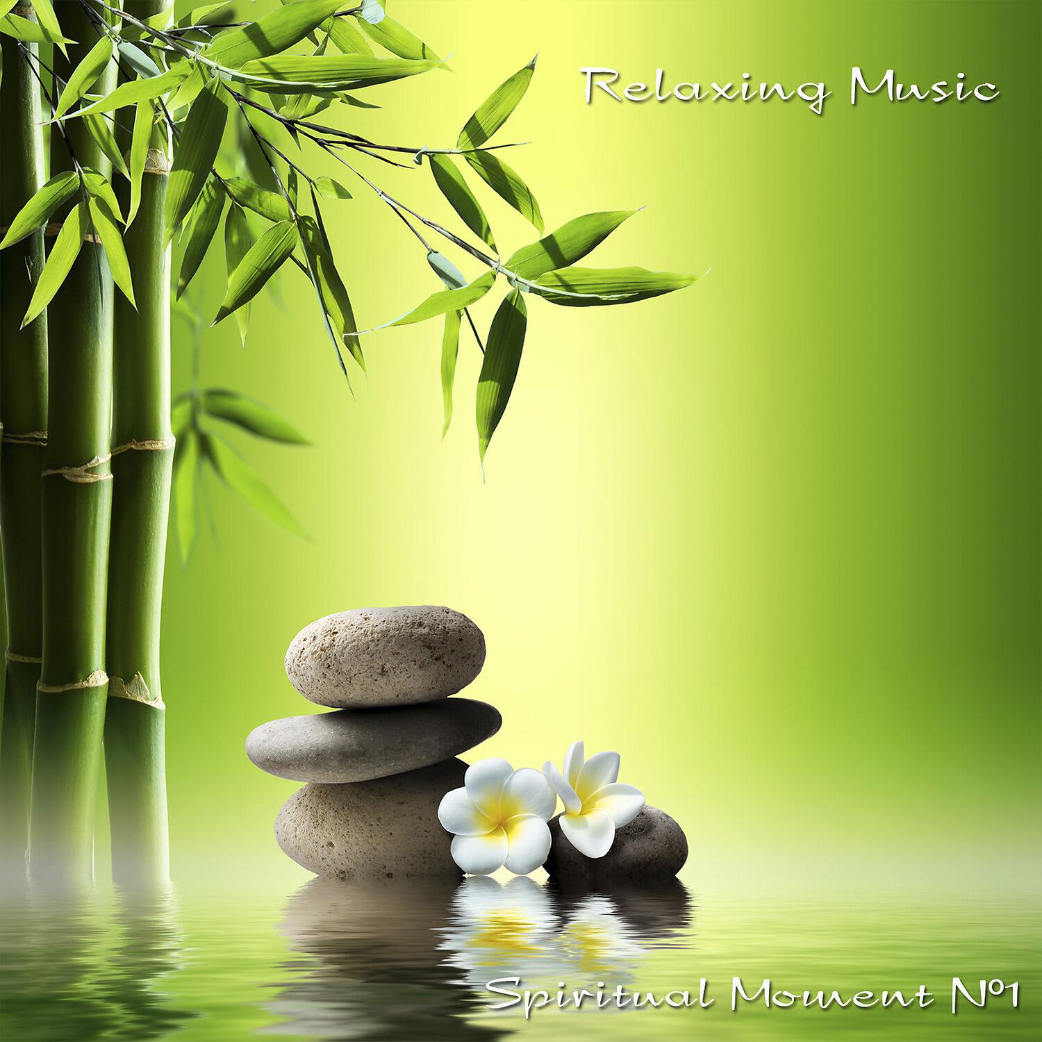 Spiritual Moment - Relax Dolphins