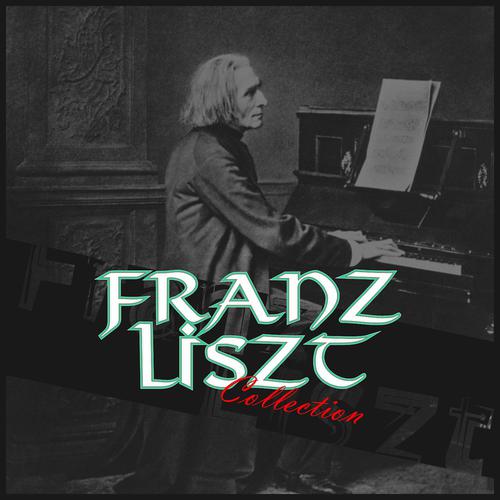 Постер альбома Franz Liszt Collection