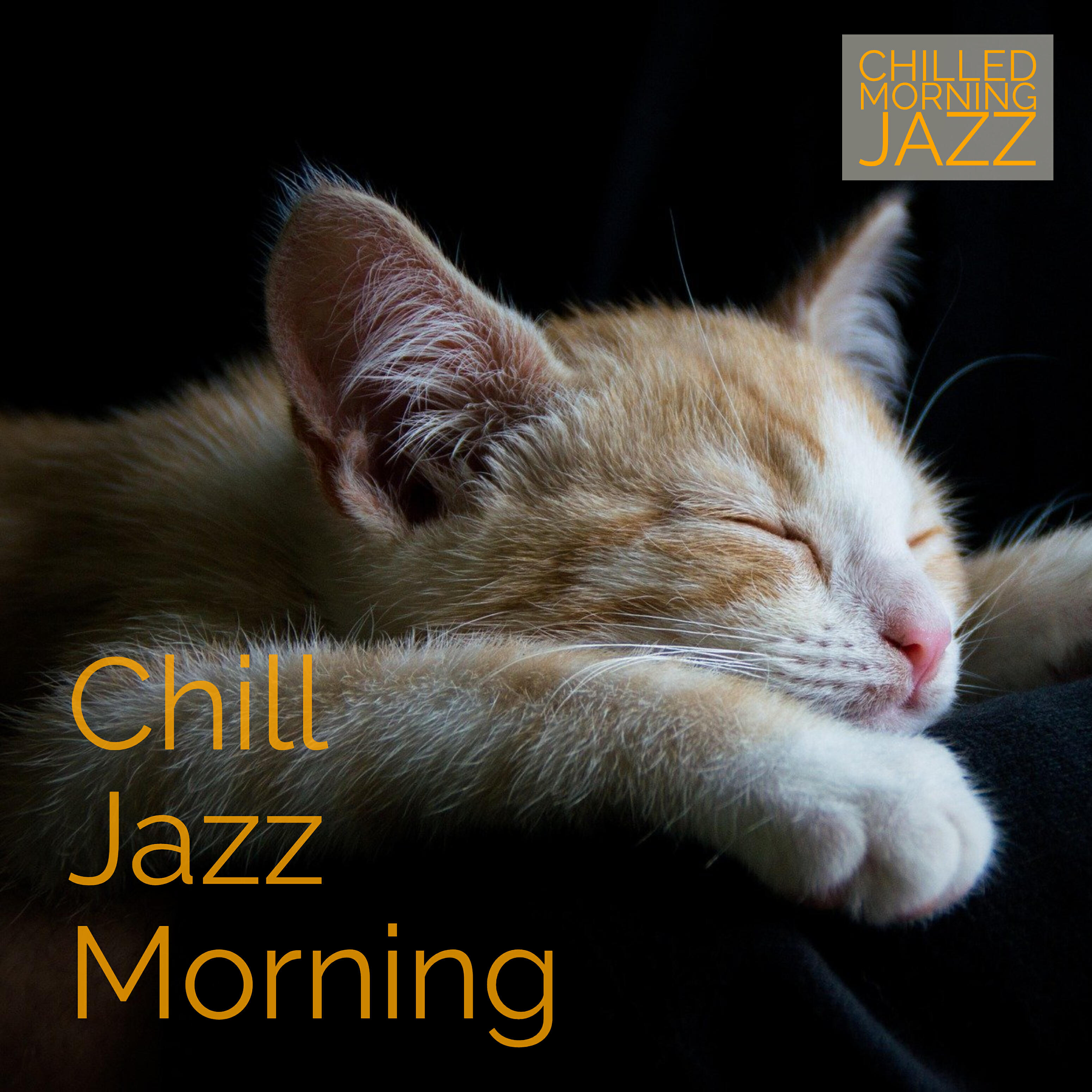 Chilled Morning Jazz - Snuggly Mood Tune