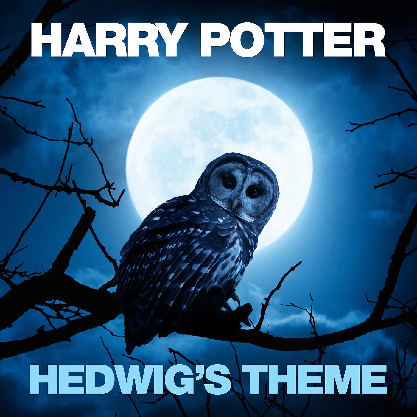 Постер альбома Hedwig's Theme